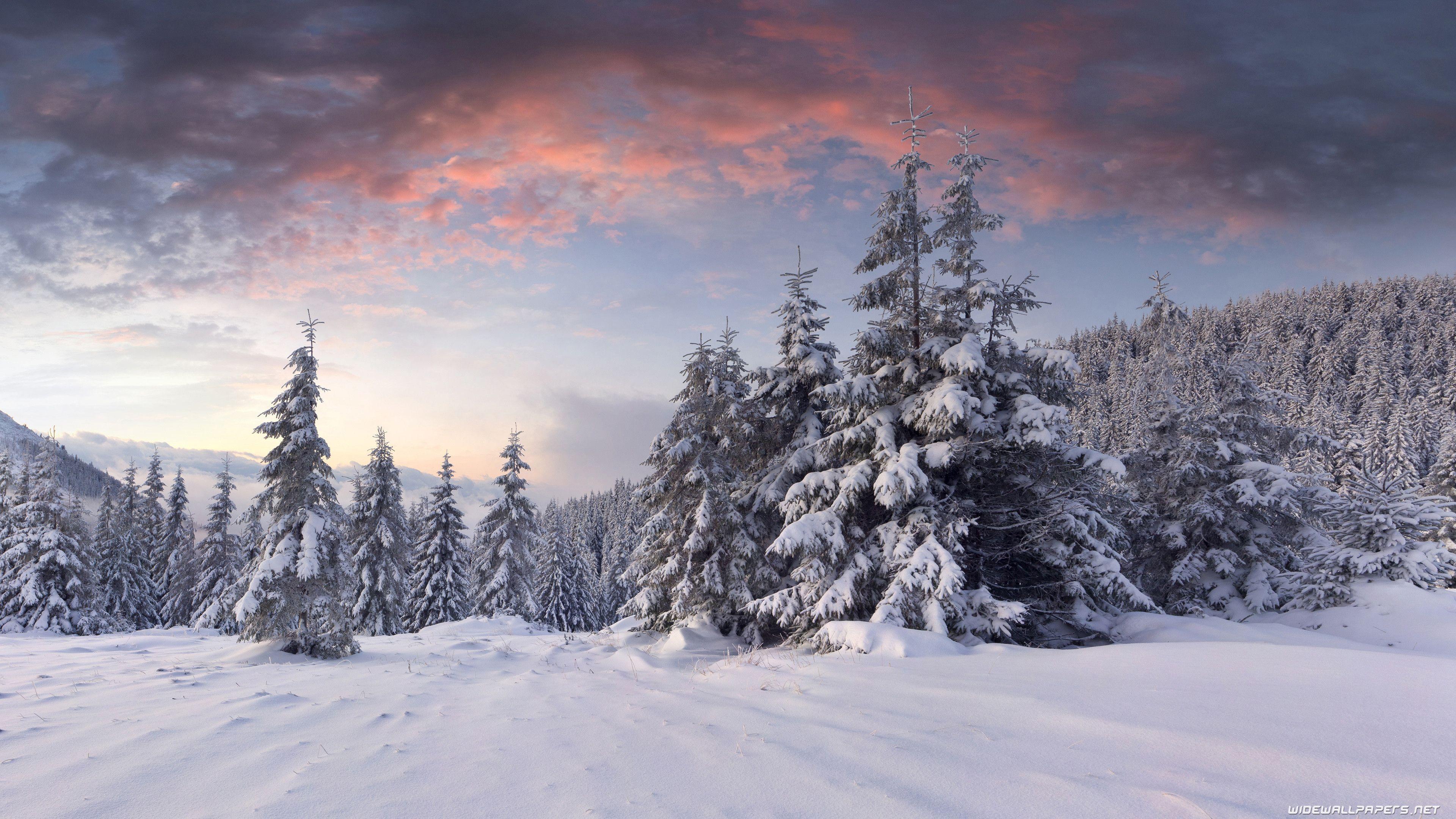 3840x2160 Winter Wallpaper