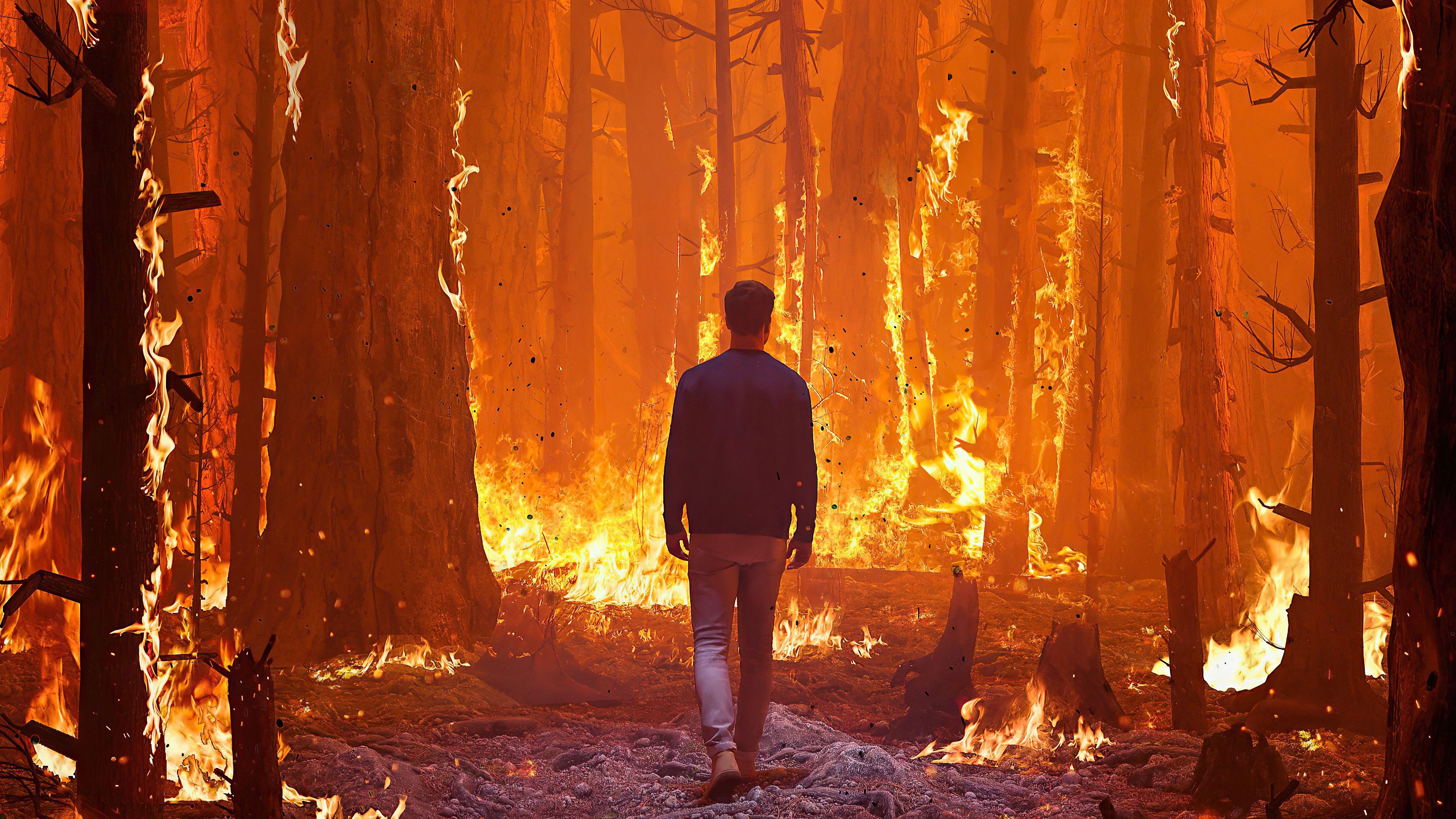 3840x2160 Forest Fire 4k Wallpaper