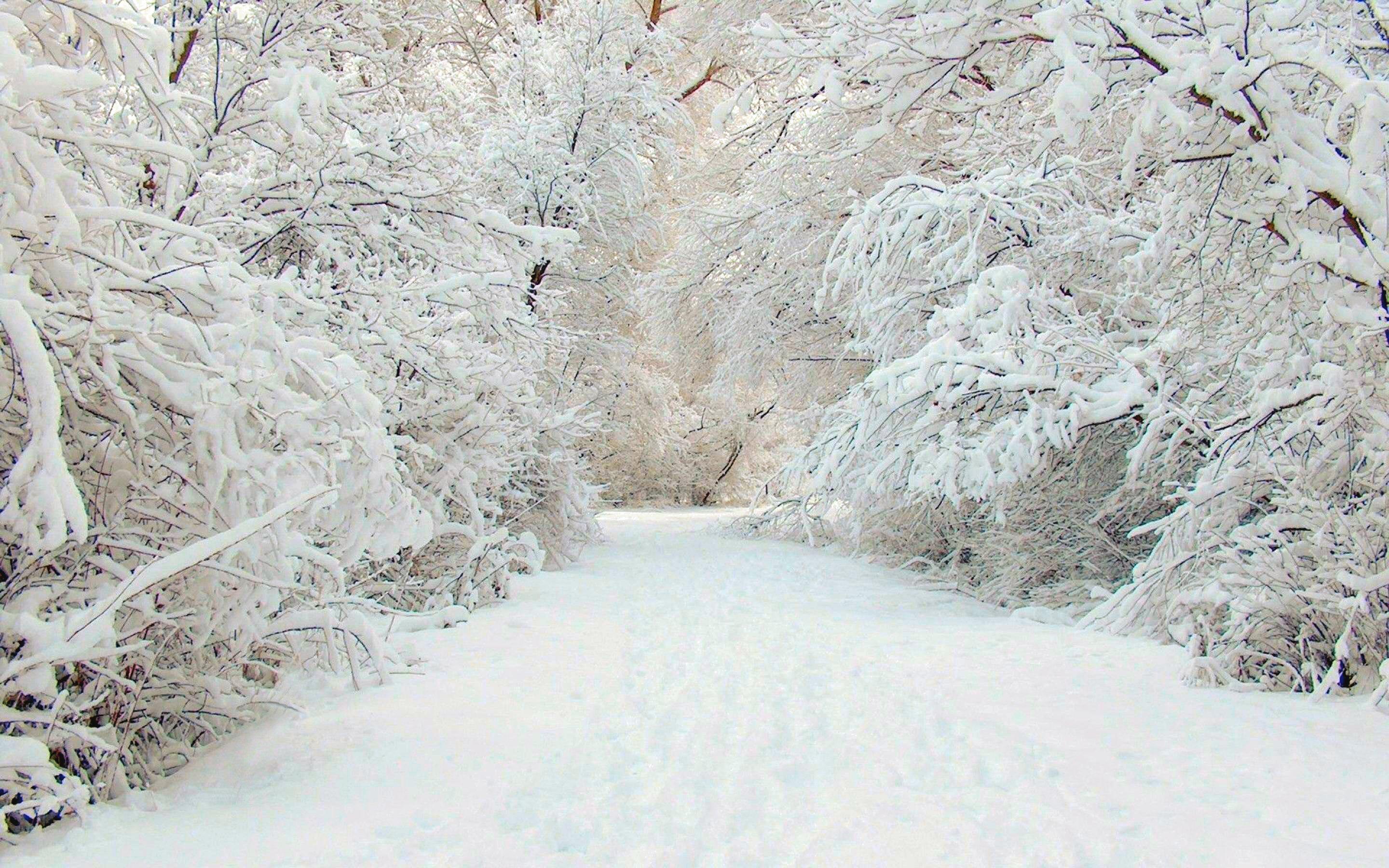 2880x1800 Cool Winter HD Wallpaper for Desktop. Design Trends PSD, Vector Downloads