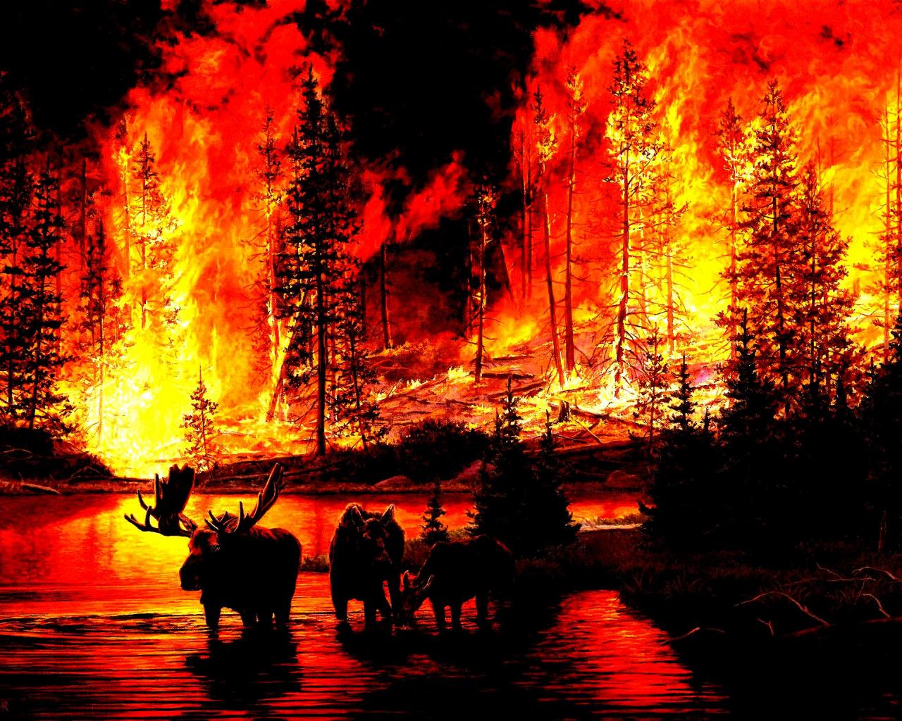 1280x1024 Free download Forest Fire Desktop Wallpaper THIS Wallpaper [2294x1537] for your Desktop, Mobile & Tablet. Explore Forest Fire Wallpaper. Wildland Fire Wallpaper, Fire Fighting Wallpaper