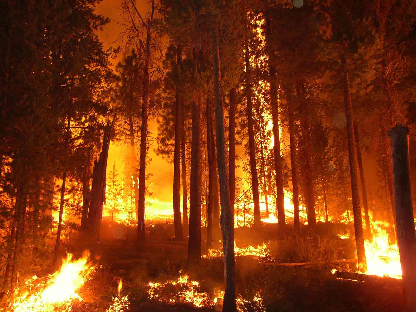 1749x1312 Free download Forest Fire Wallpaper [1749x1312] for your Desktop, Mobile & Tablet. Explore Forest Fire Wallpaper. Wildland Fire Wallpaper, Fire Fighting Wallpaper