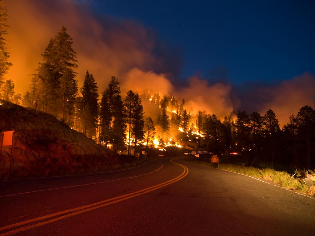 1024x768 Free download Wildfire Wallpaper The little bear wildfire [1024x768] for your Desktop, Mobile & Tablet. Explore Wildland Fire Wallpaper. Wildland Fire Wallpaper, Fire Background, Fire Background