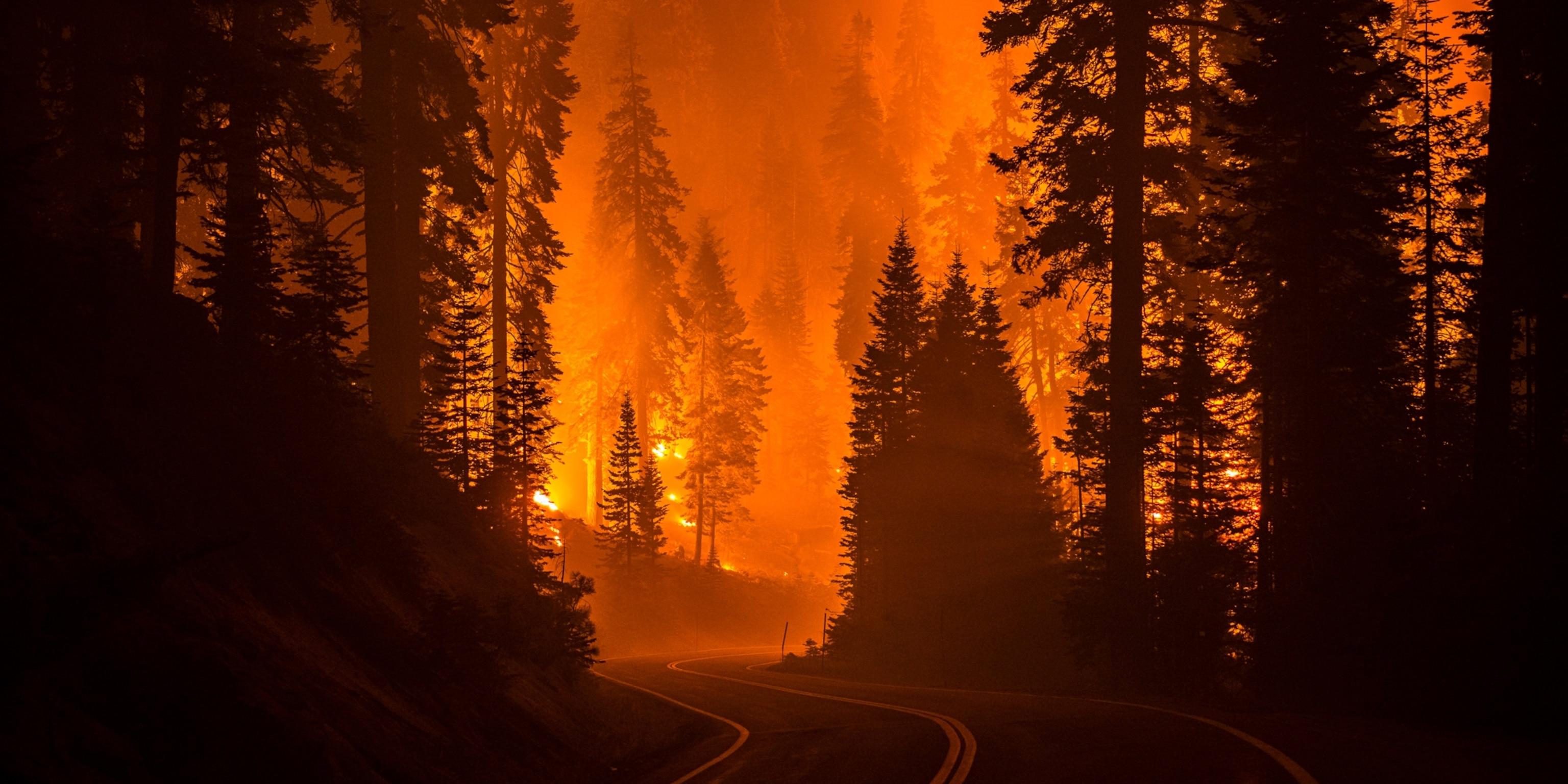 Wildfire 4K Wallpapers - Top Free Wildfire 4K Backgrounds - WallpaperAccess