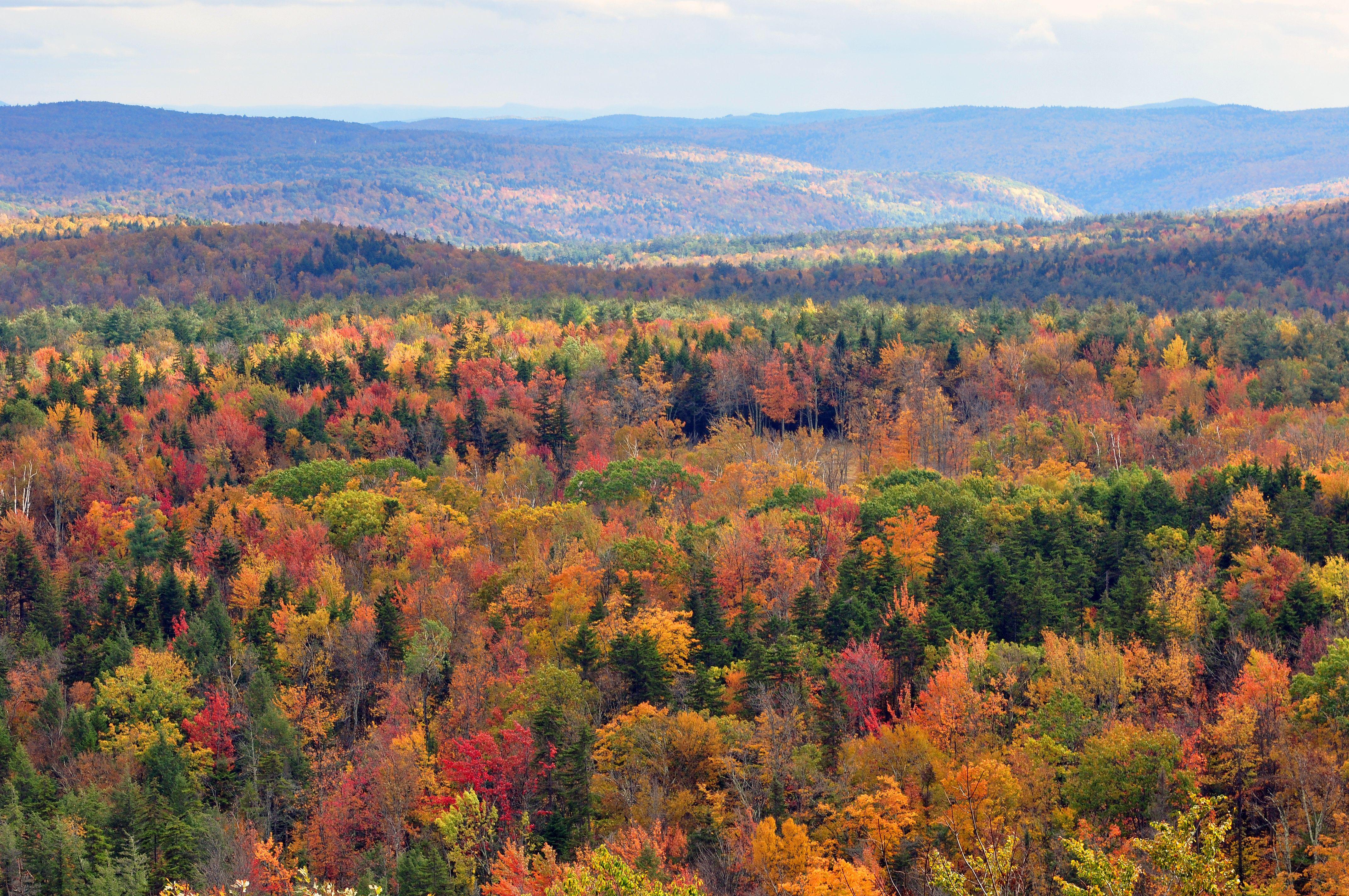 4288x2848 Vermont Autumn Wallpaper
