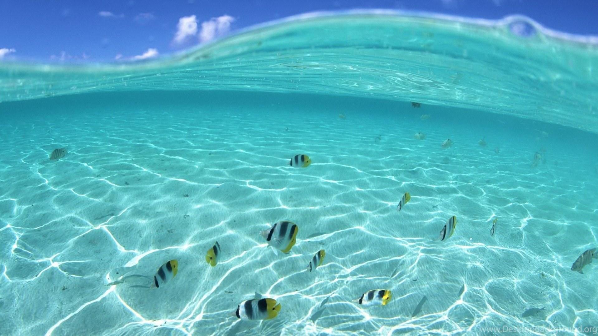 1920x1080 Underwater HD Wallpaper Desktop Background