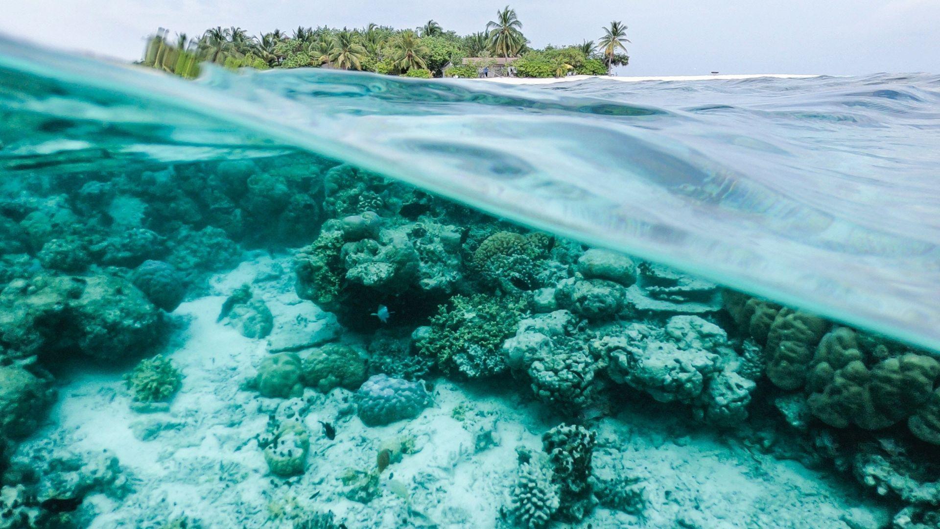 1920x1080 Desktop wallpaper underwater, sea, surface, tropical island, exotic, HD image, picture, background, d41d2f