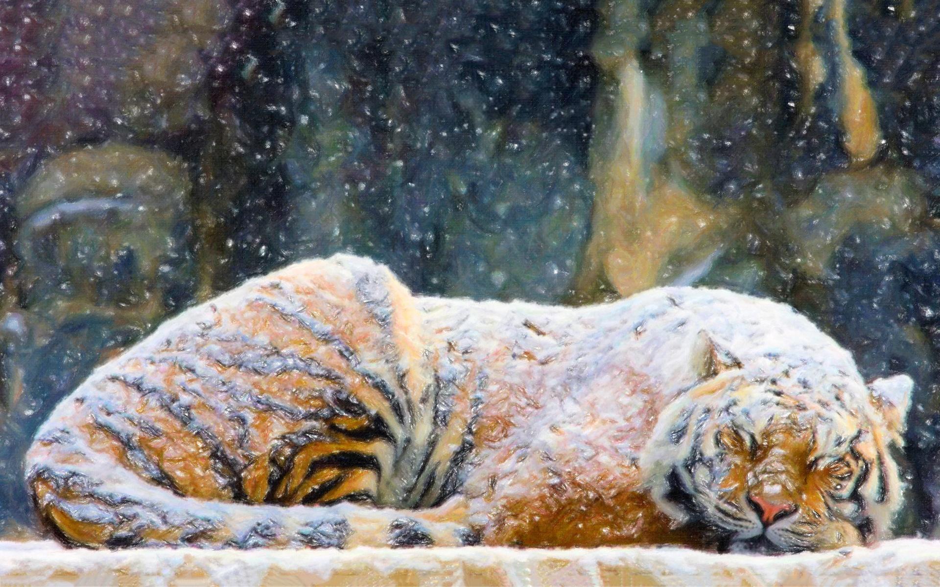 1920x1200 Tiger Snow
