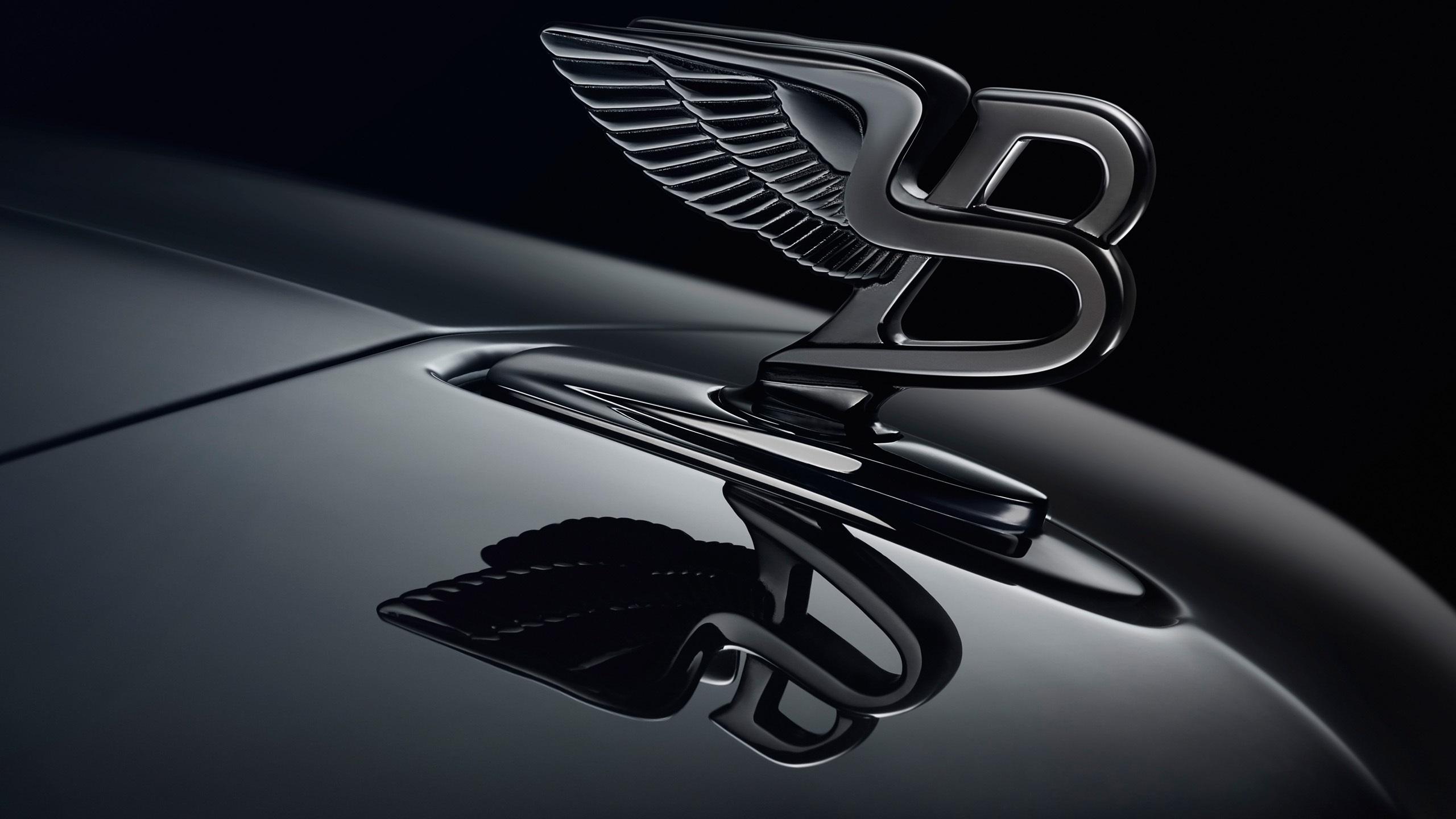 2560x1440 Wallpaper Bentley logo, black background 2560x1600 HD Picture, Image