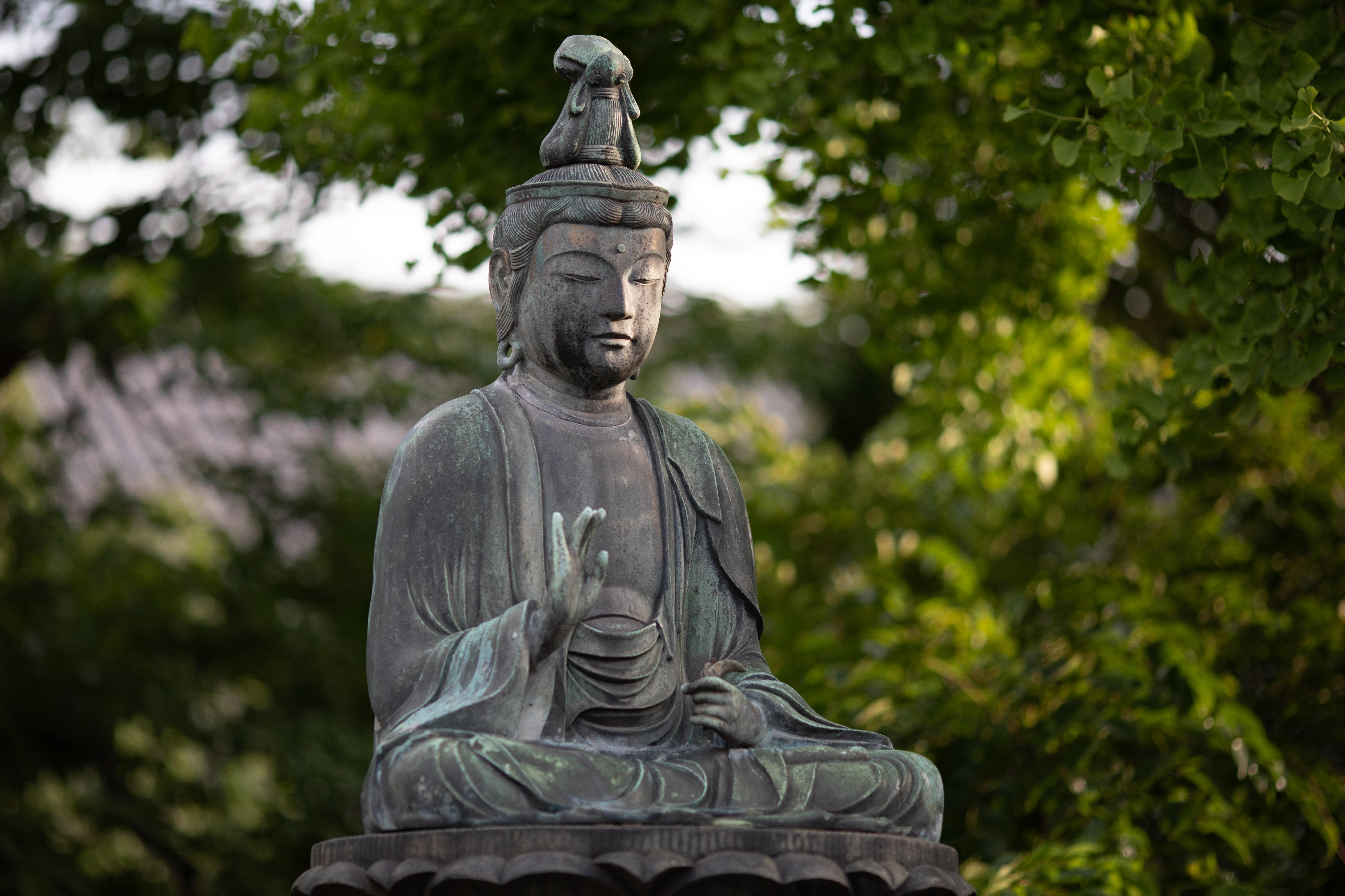 6460x4307 Buddha Statue Near Trees · Free