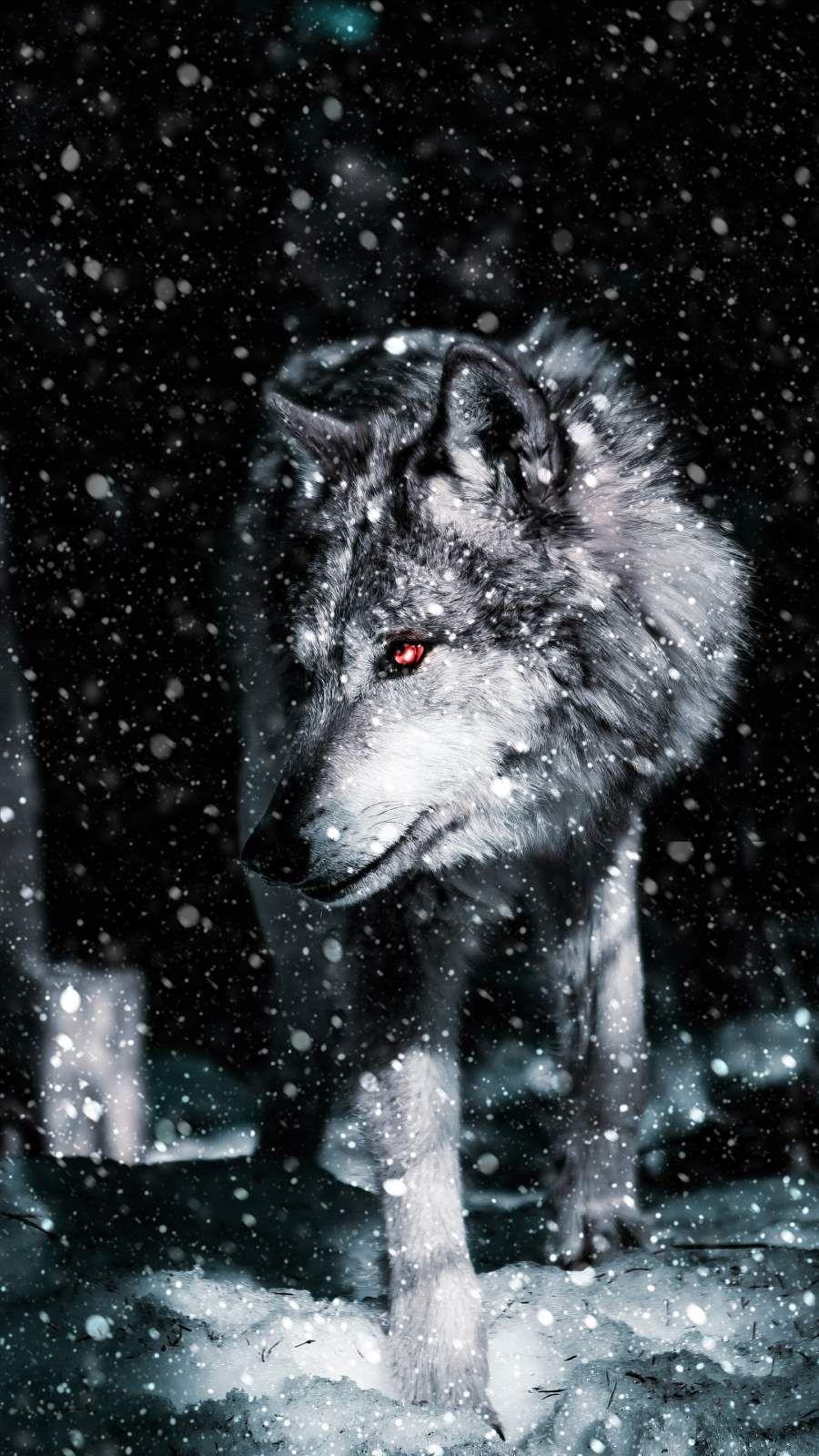 900x1600 Anime Alpha Wolf Wallpaper