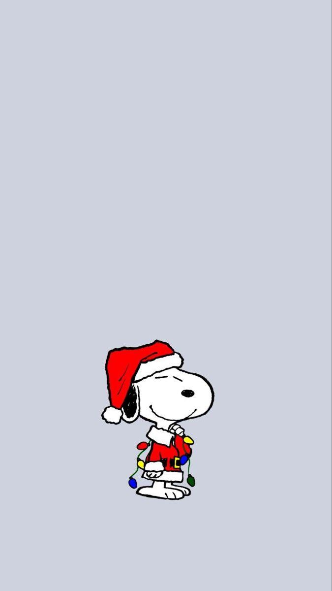 675x1200 Snoopy