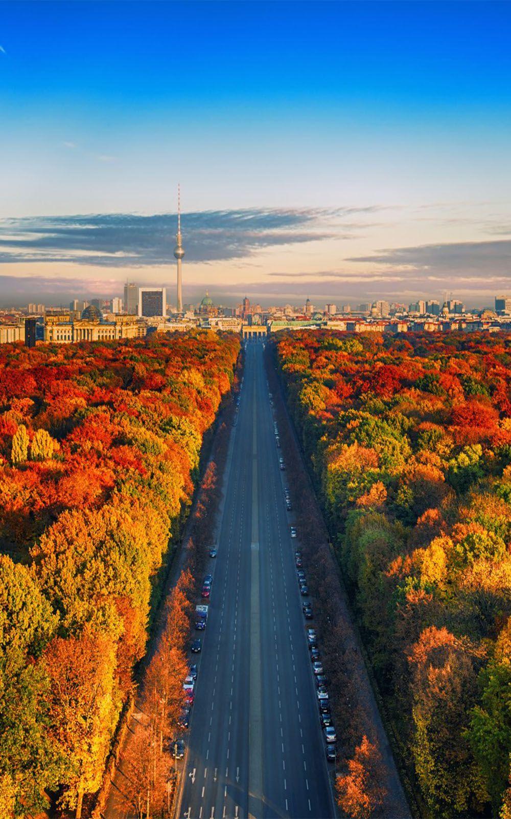 1000x1600 Autumn in Berlin Free HD Mobile Wallpaper