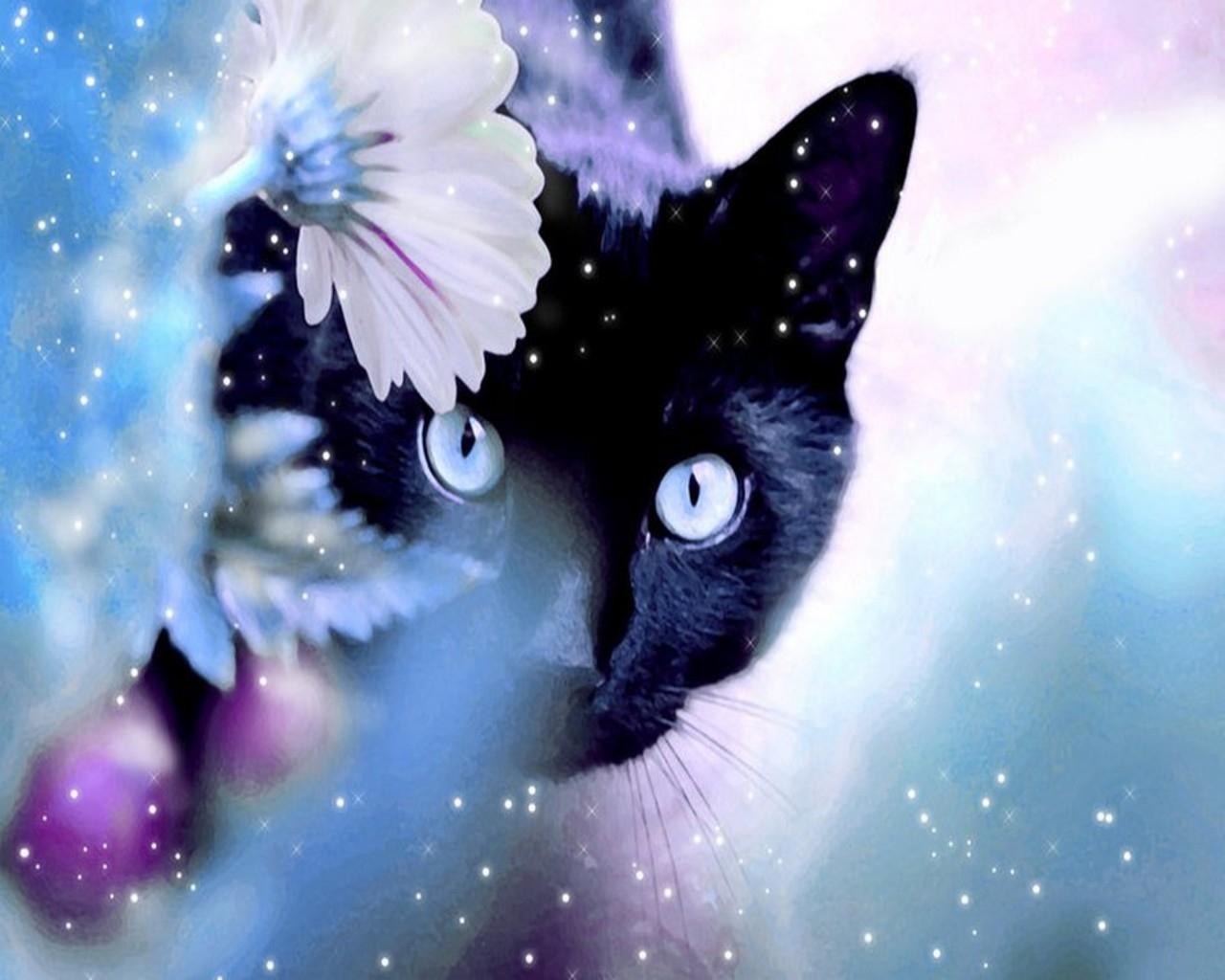 1280x1024 cats blue eyes animals black cat 1280x1024 wallpaper High Quality Wallpaper, High Definition Wallpaper