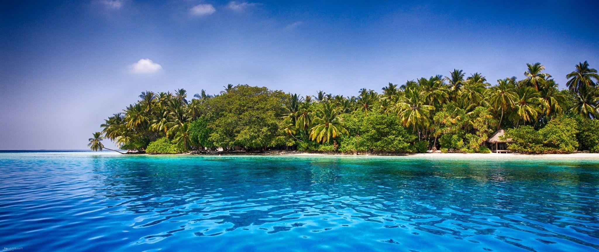 2048x863 Maldives, Beach, Palm Trees, Tropical, Sea, Sand, Water
