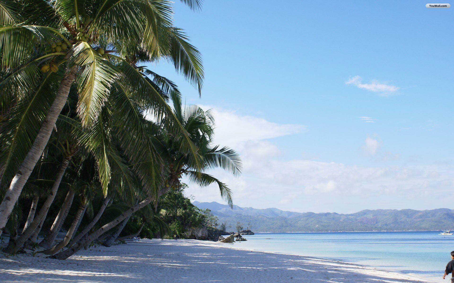 1920x1200 Exotic Beach Gallery 561550212 Wallpaper for Free 100