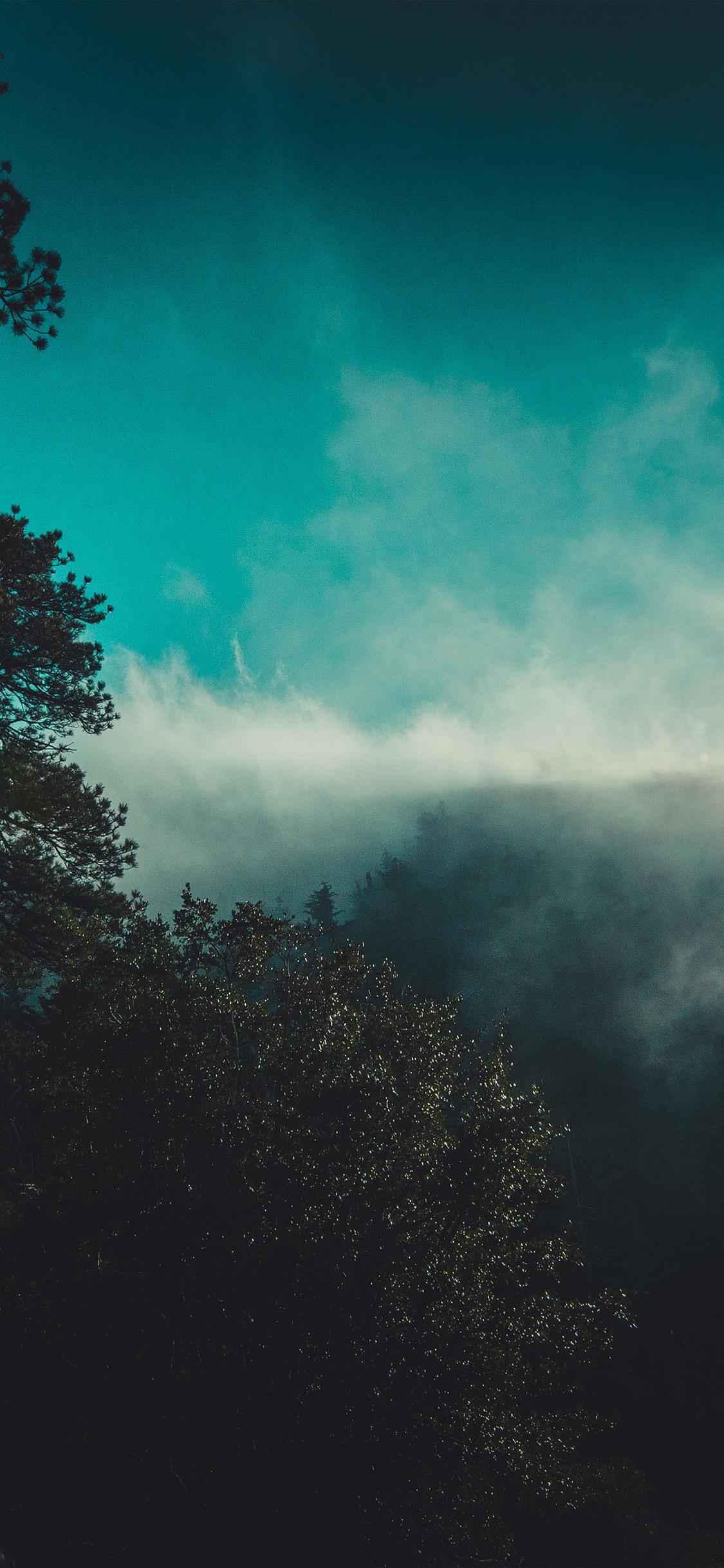 1125x2436 mountain view blue sunner sun nature