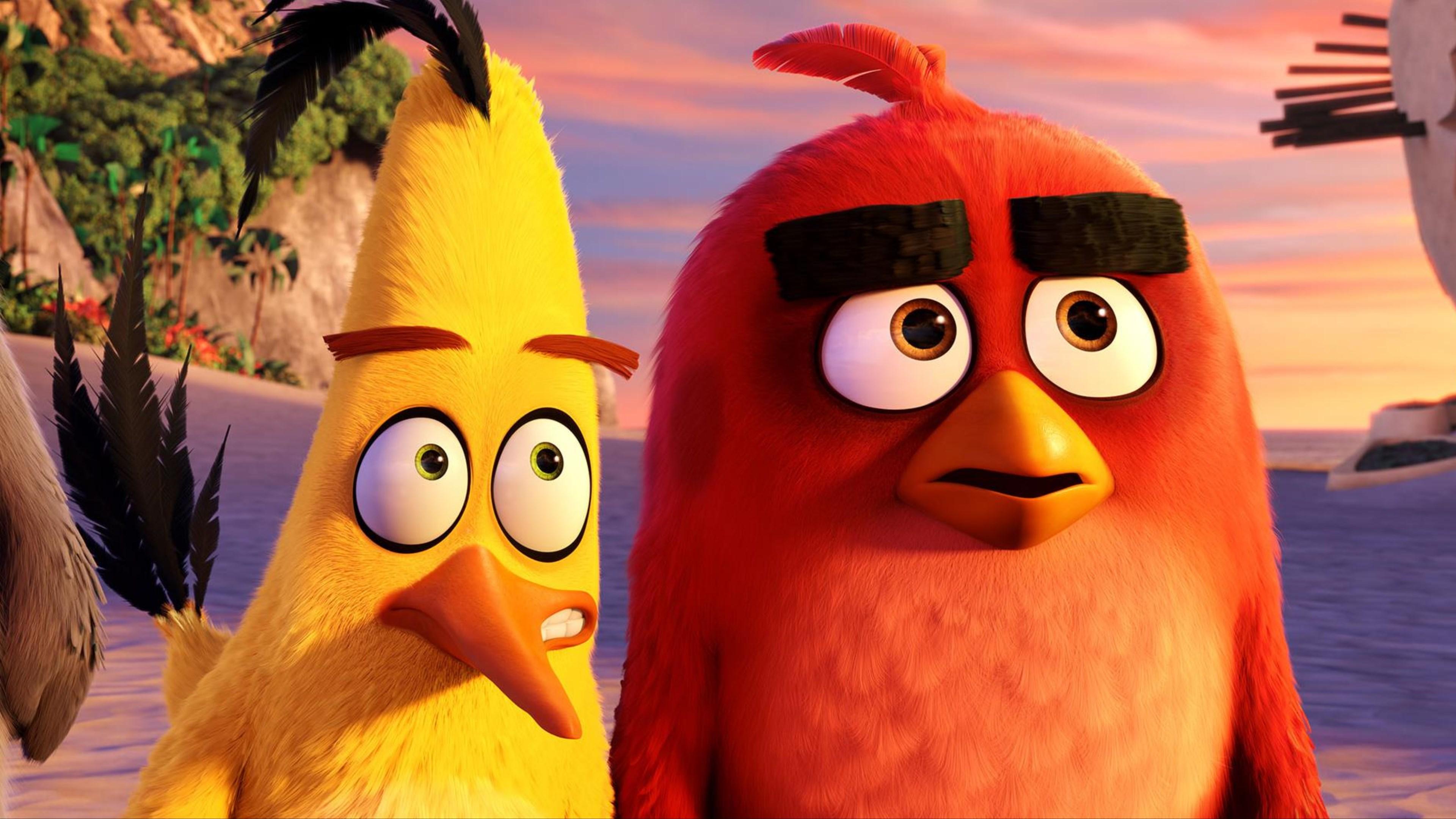 3840x2160 Wallpaper 4k Red And Chuck Angry Birds Wallpaper