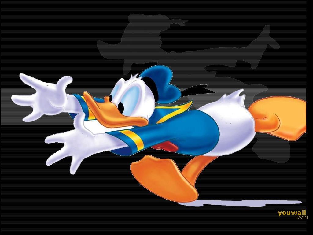 1024x768 donald duck wallpaper. Download best HD wallpaper for your