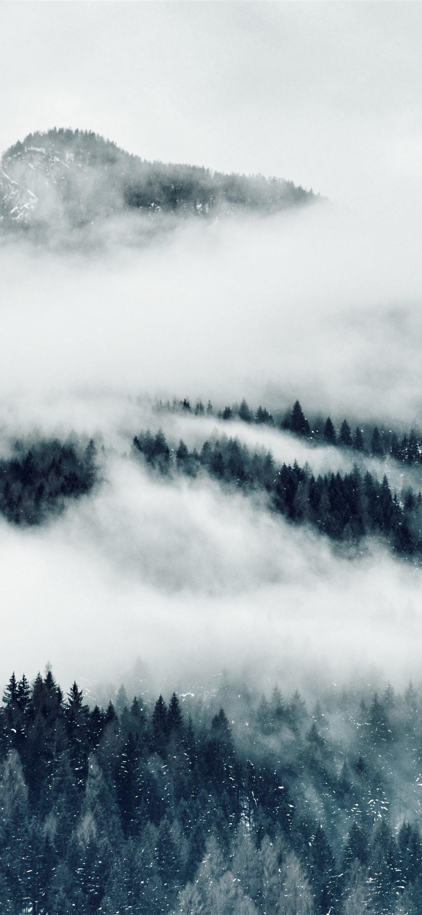 828x1792 Mountains, Fog, Trees, Black And White Picture 1242x2688 IPhone 11 Pro XS Max Wallpaper, Background, Picture, Image