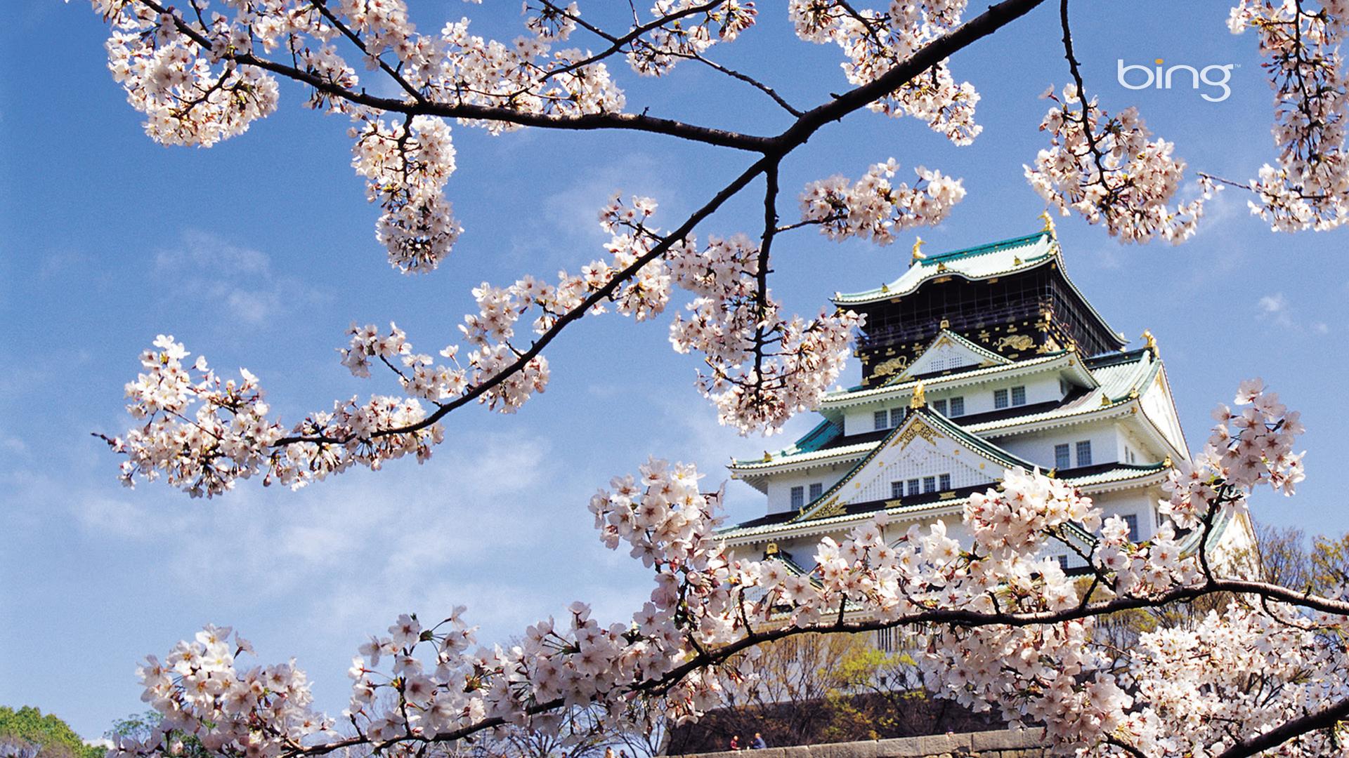 1920x1080 Free download japanese landscape samurai Photo 14636844 [1920x1200] for your Desktop, Mobile & Tablet. Explore Japanese Cherry Blossom Wallpaper 1920x1080. Bing Cherry Blossom Wallpaper, Japanese Cherry Blossoms Wallpaper, Cherry