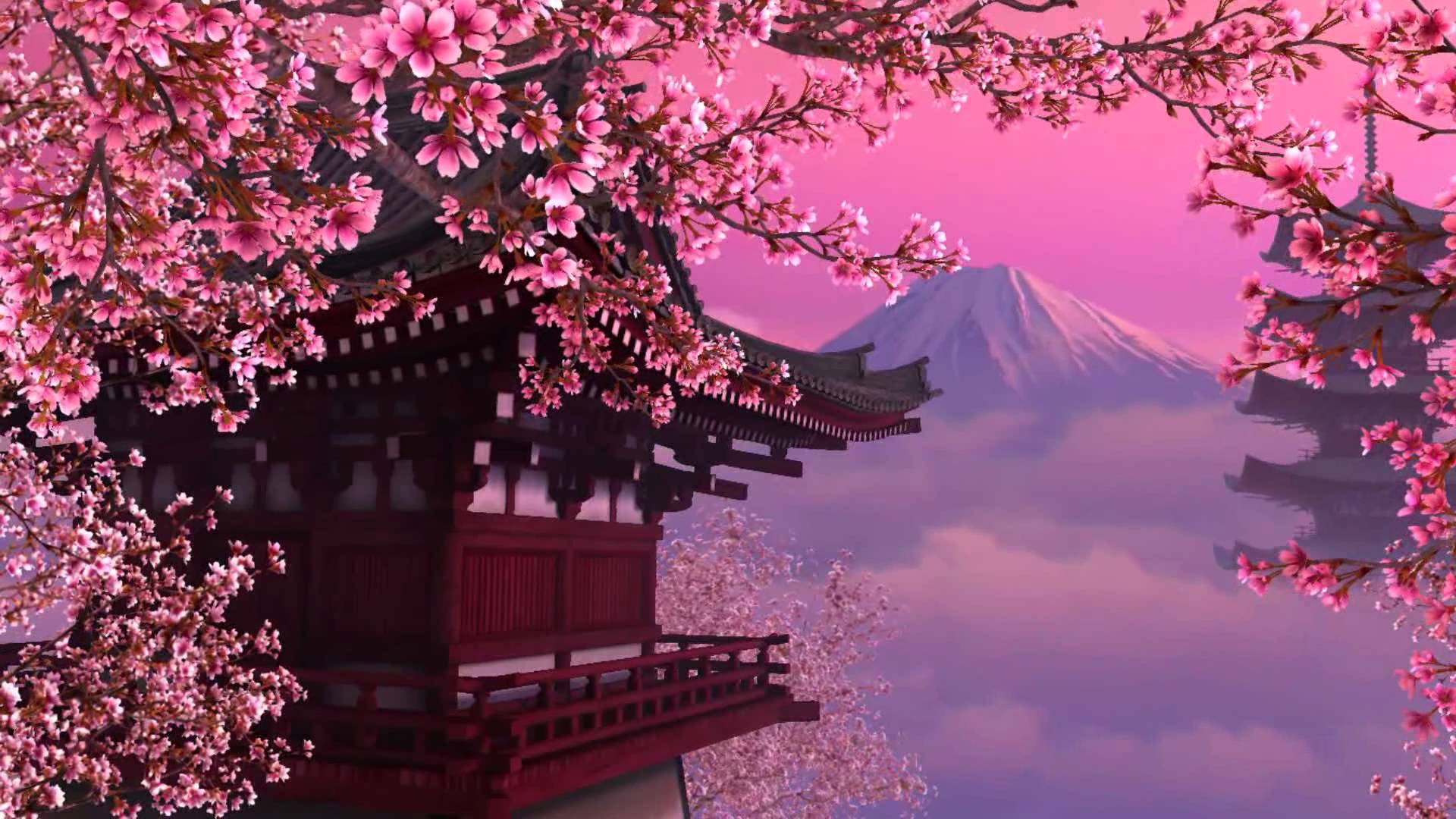1920x1080 Enjoy the collection of beautiful wallpaper cherry blossoms