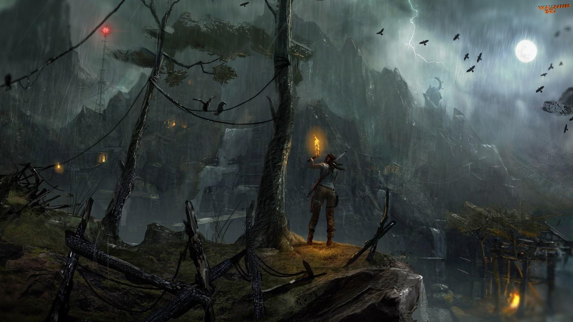 1920x1080 Hd tomb raider 2013 night concept art wallpaper 1920x1080