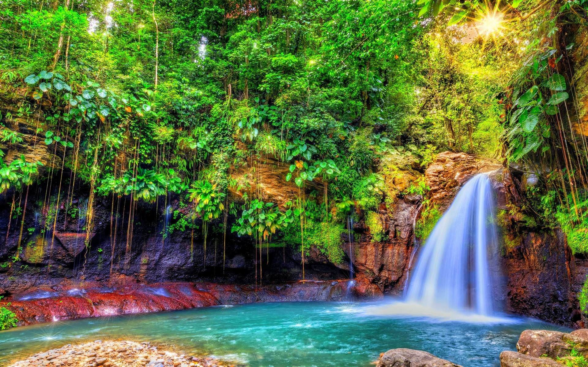 1920x1200 Waterfall in the jungle island of Guadeloupe wallpaper and image