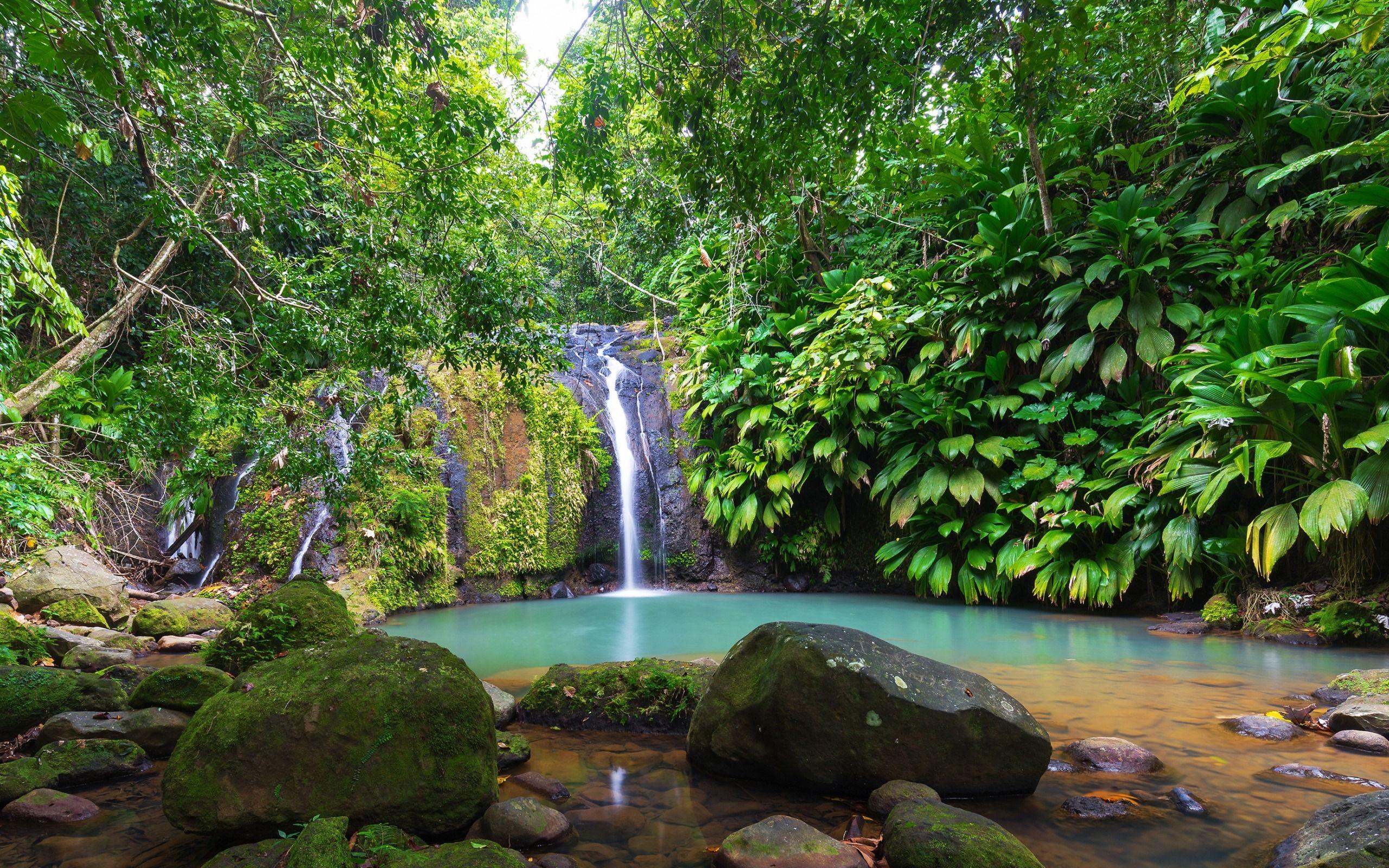 2560x1600 Download wallpaper waterfall, lake, rainforest, jungle, Cascade Bis
