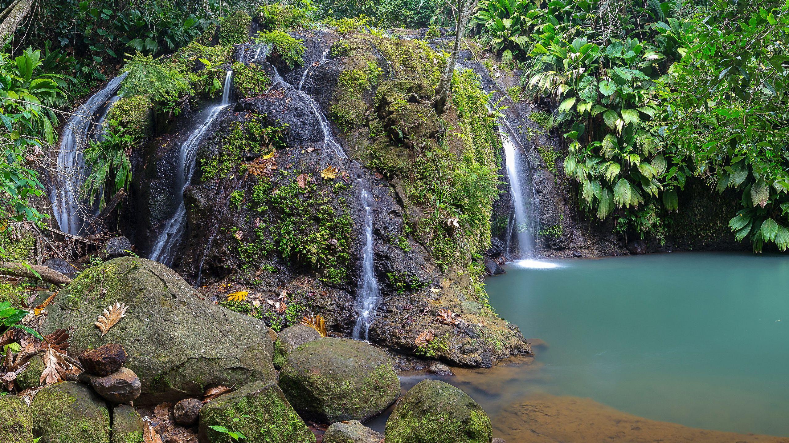 2560x1440 Picture Cadet Guadeloupe Rock Nature Waterfalls Tropics 2560x1440