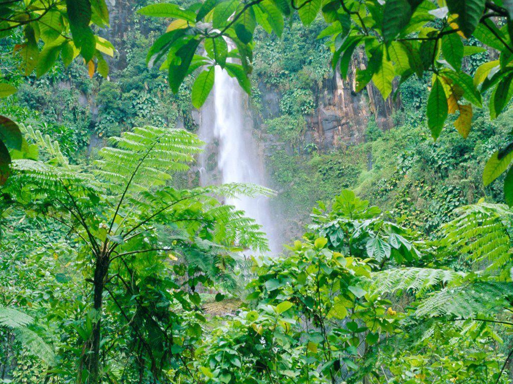 1024x768 Carbet Falls, Guadeloupe, French Antilles