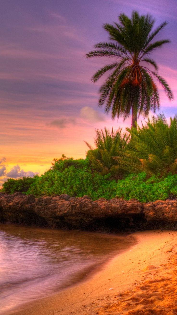 736x1309 Beautiful Nature iPhone Wallpaper. Wallpaper iphone summer, iPhone wallpaper tropical, Beach sunset wallpaper