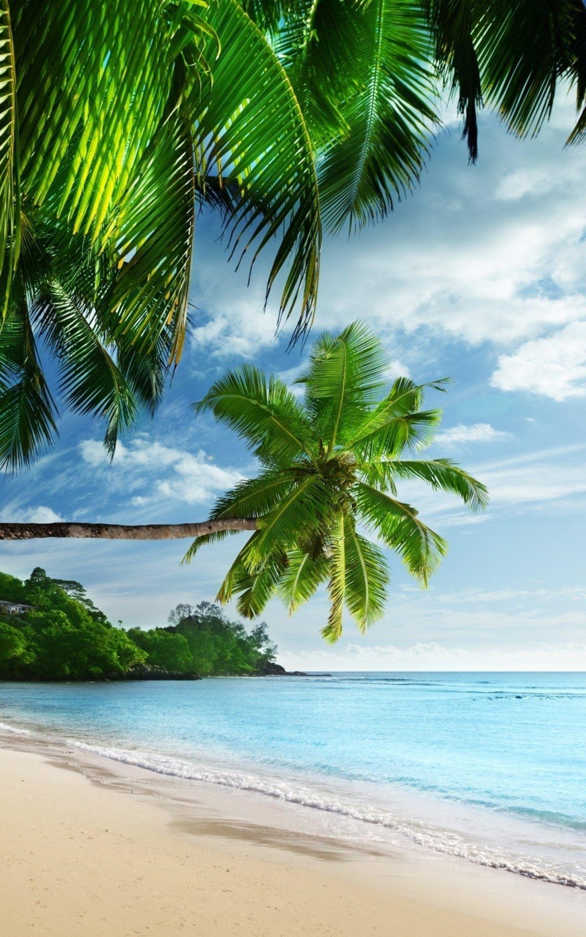 1200x1920 Earth Tropical