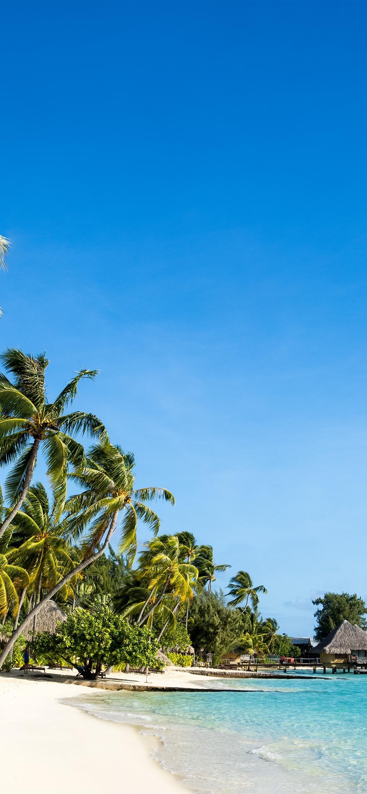 1242x2688 Tropical Nature Scenery, Beach, Sea, Palm Trees, Huts, Resort, Blue Sky 1242x2688 IPhone 11 Pro XS Max Wallpaper, Background, Picture, Image