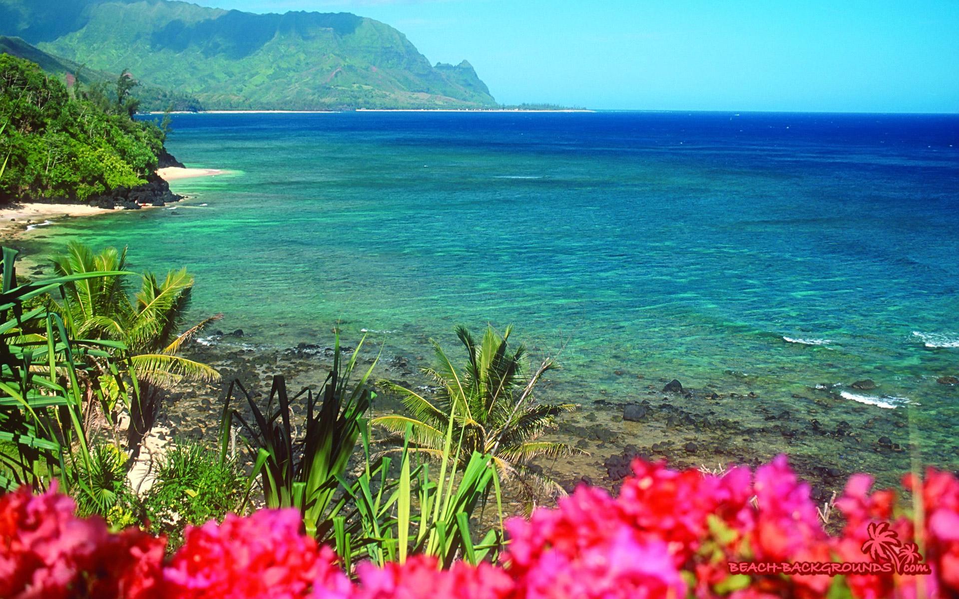 1920x1200 Wallpaper, nature, beach, house, delightful, tropical, image