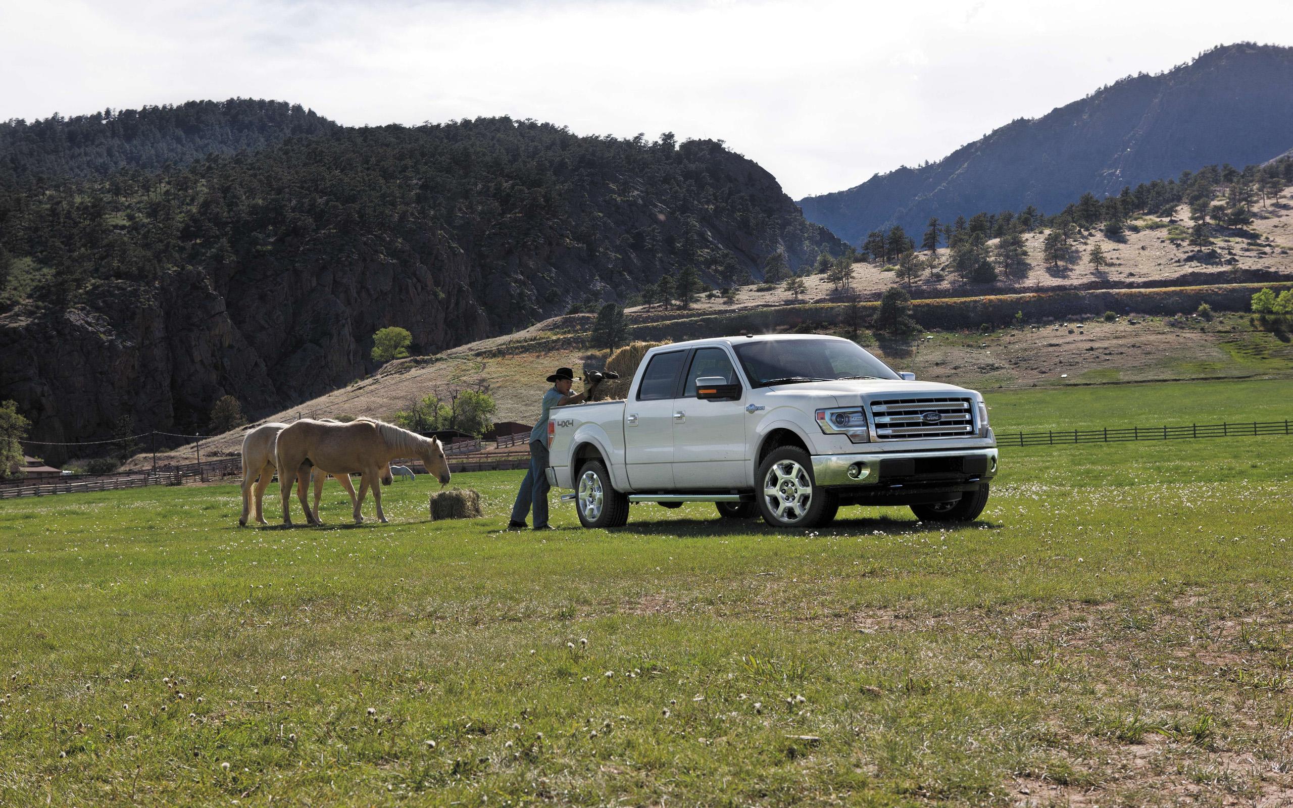 2560x1600 King Ranch Wallpaper