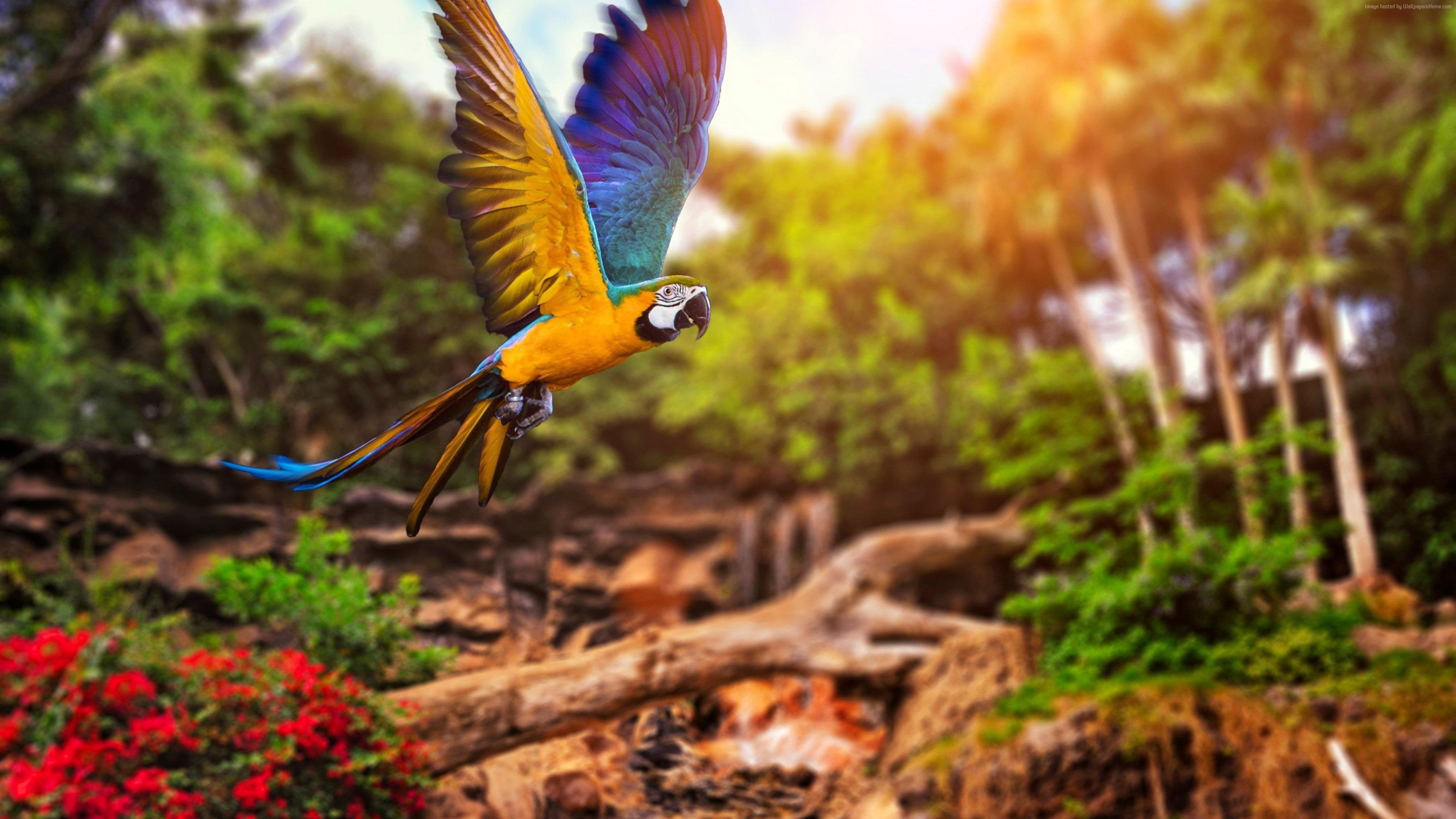 3840x2160 3840x2160 colorful 4k hi def desktop wallpaper