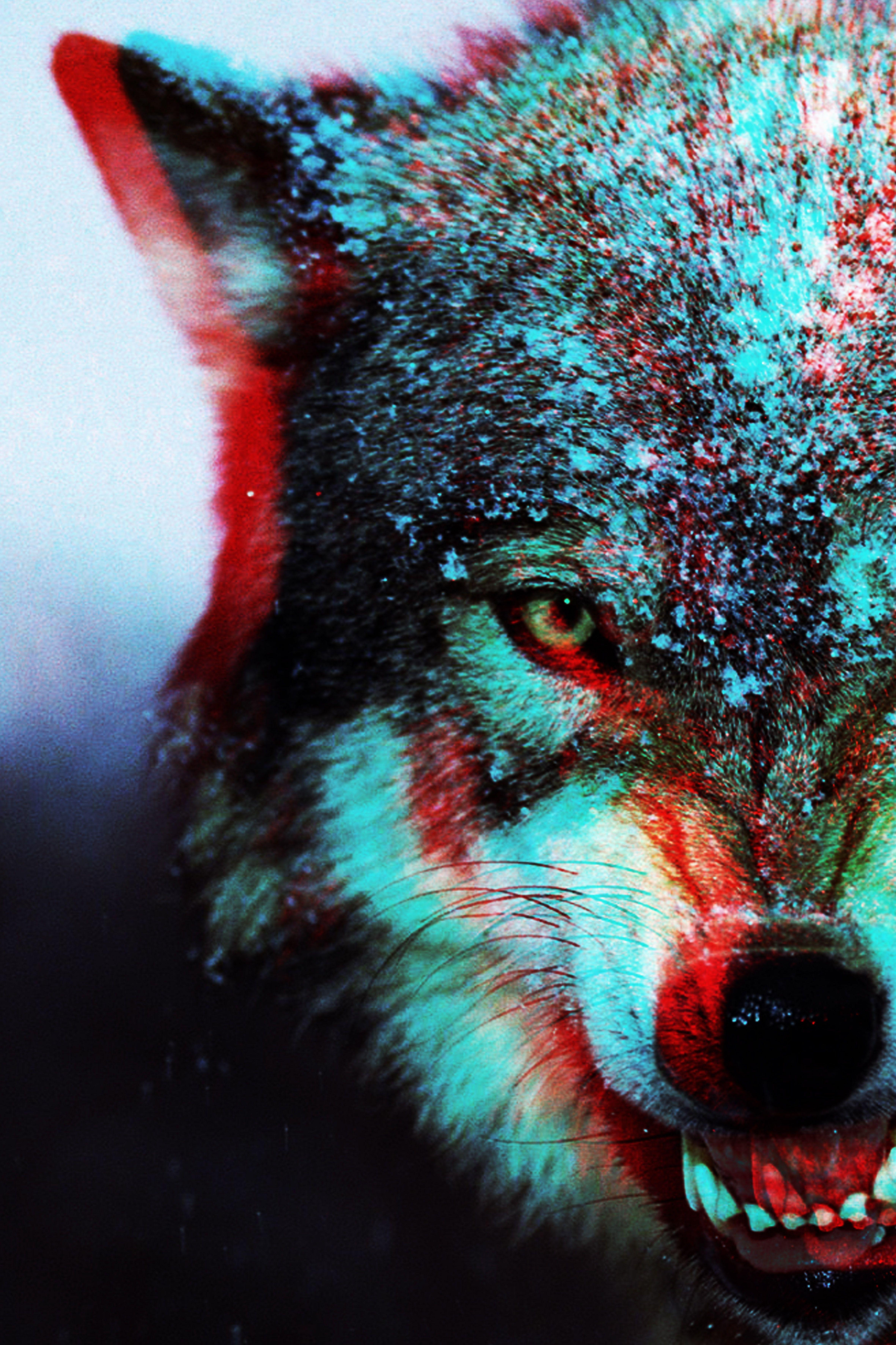4724x7087 Trippy Wallpaper HD Wolf