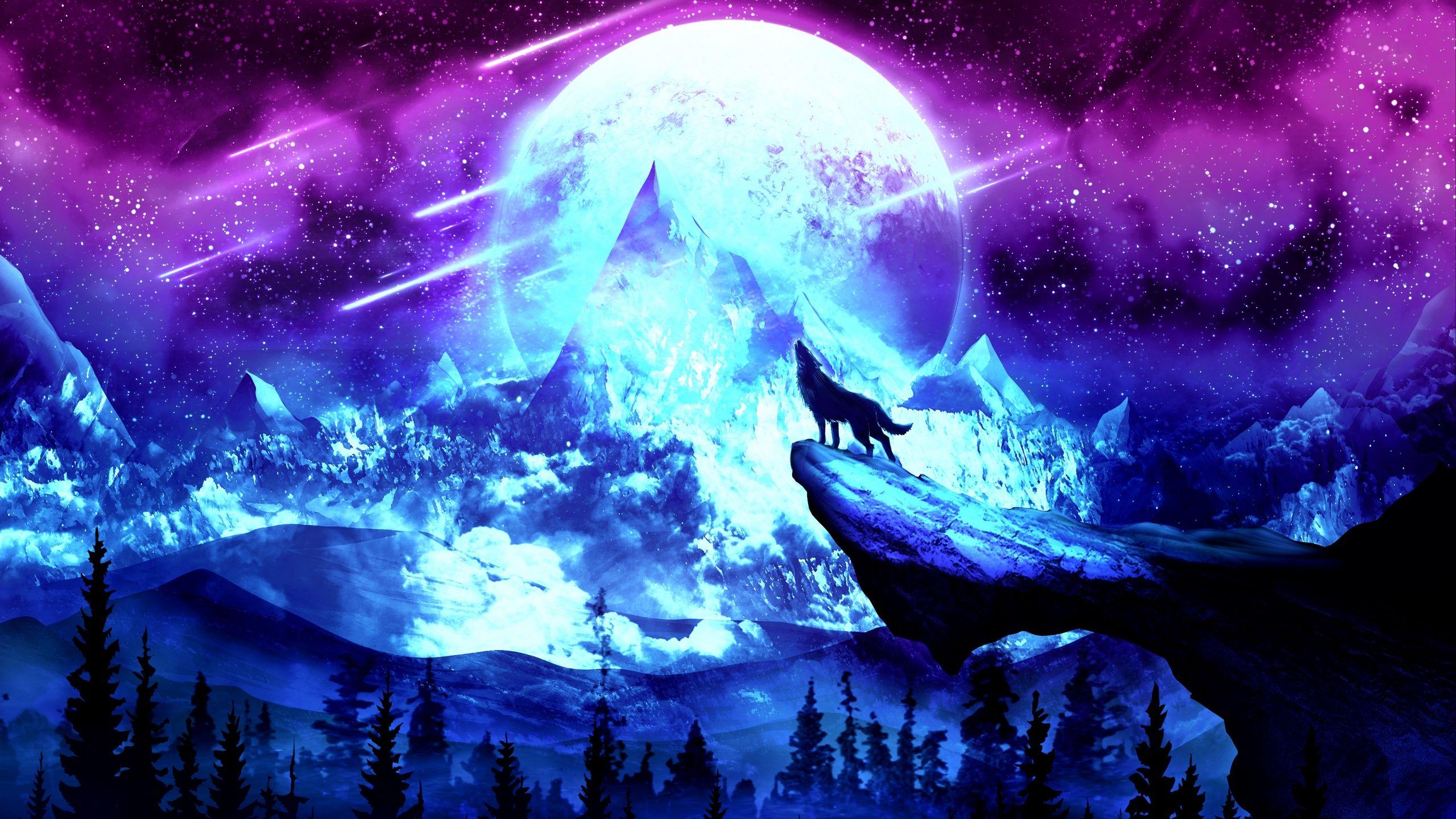 2560x1440 Wallpaper