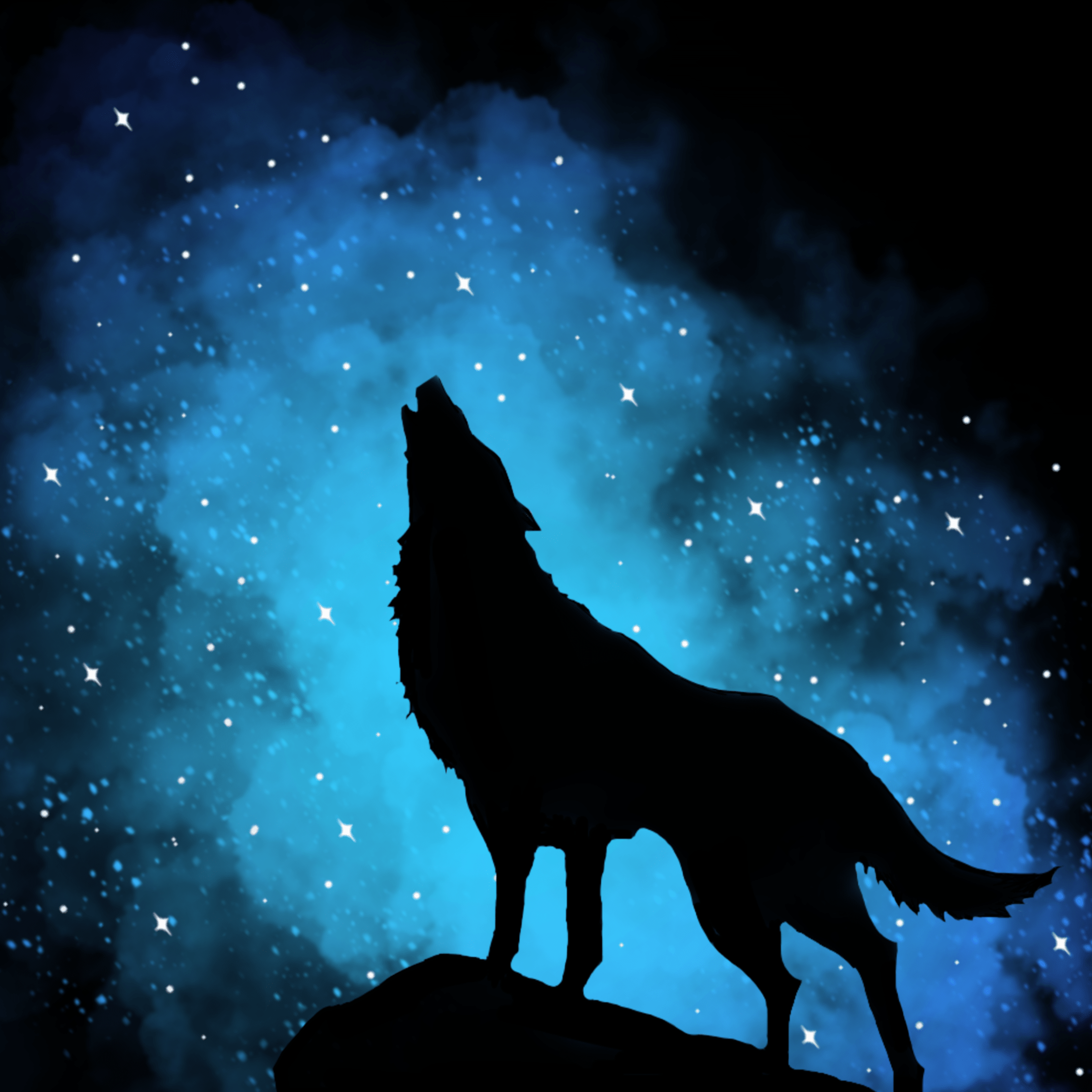2276x2276 wolf's & similar hashtags