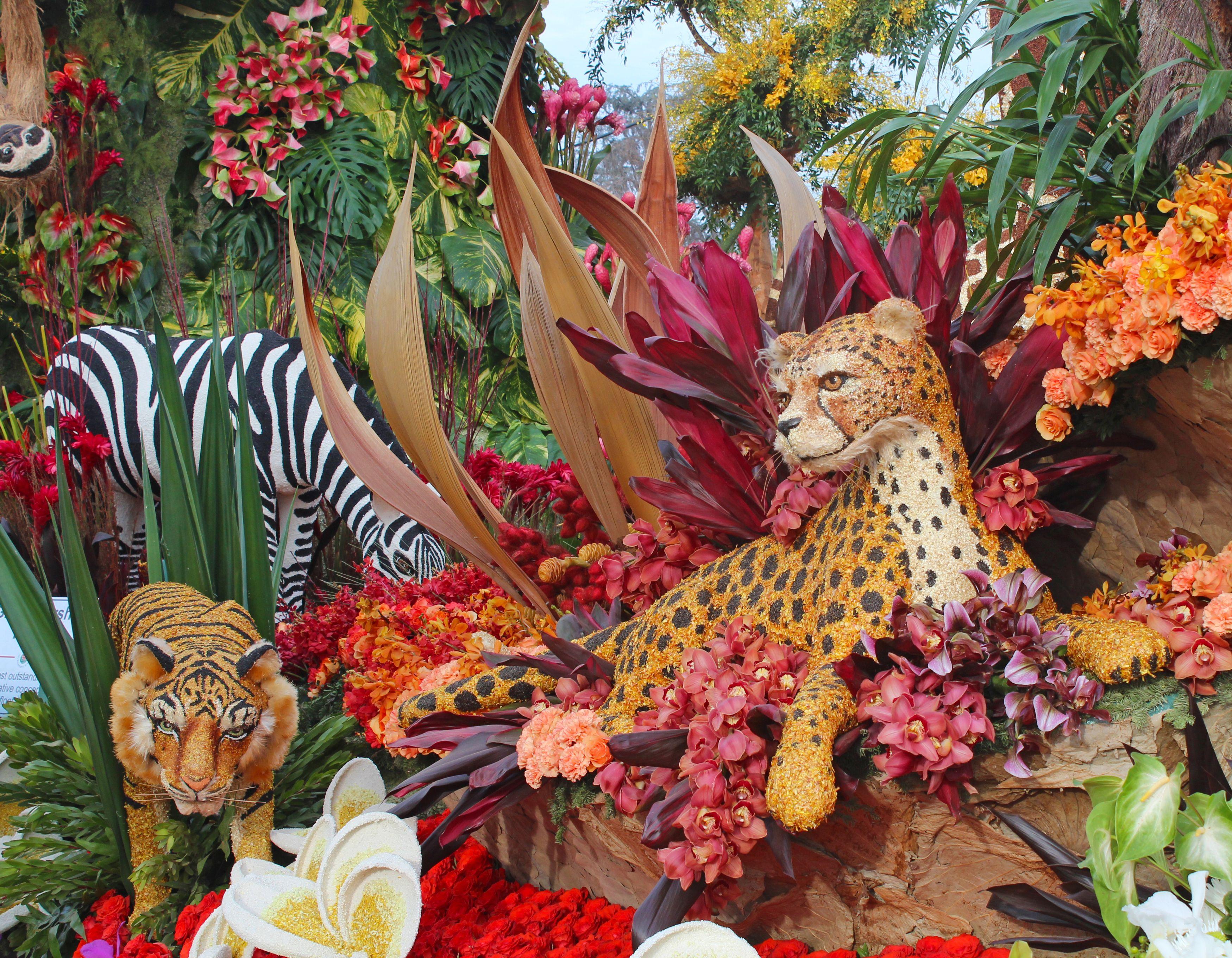 3500x2720 Wallpaper Tigers Pasadena Roses Nature Orchid Design 3500x2720