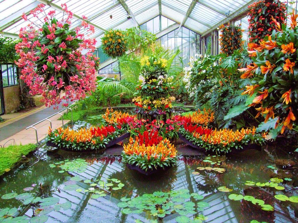 1024x768 Orchids in the interior design. Orchid Man in the United Kingdom
