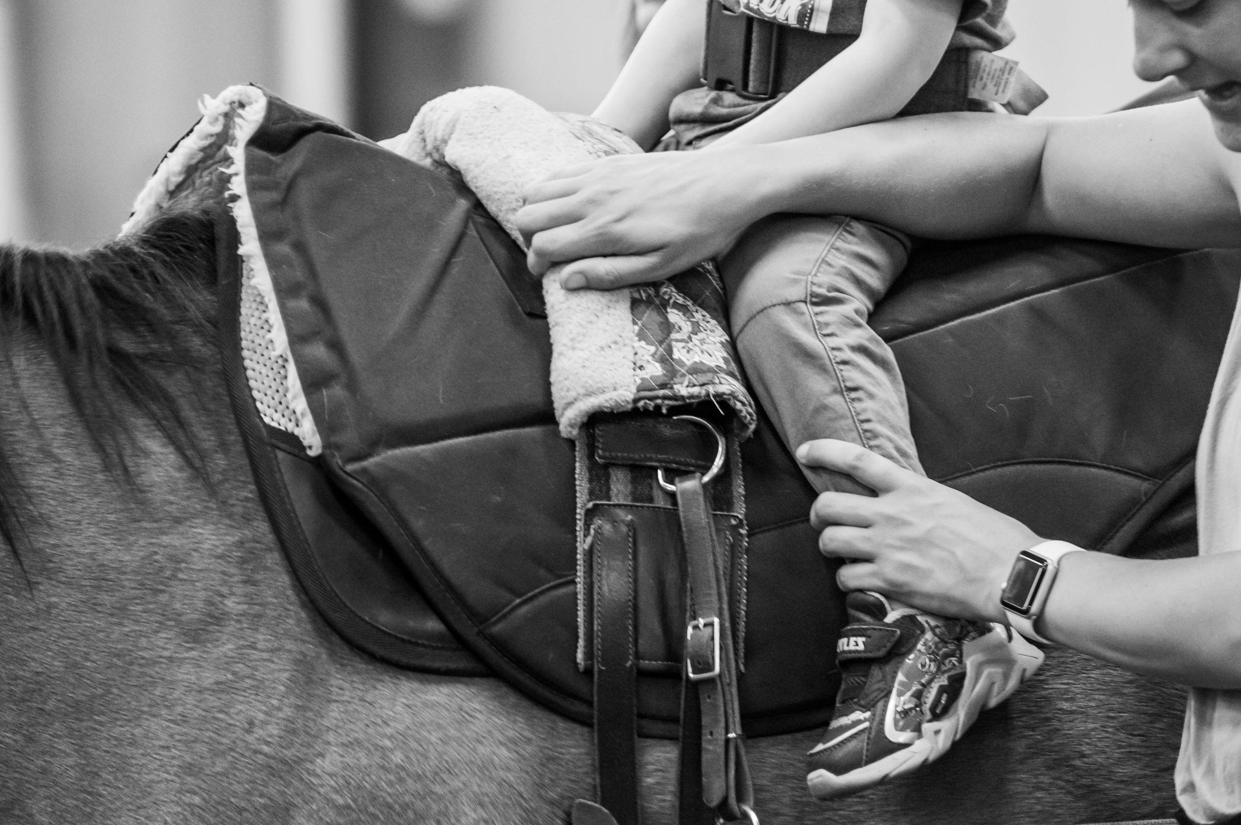 2453x1630 Occupational Therapy Reins Therapeutic Riding Center