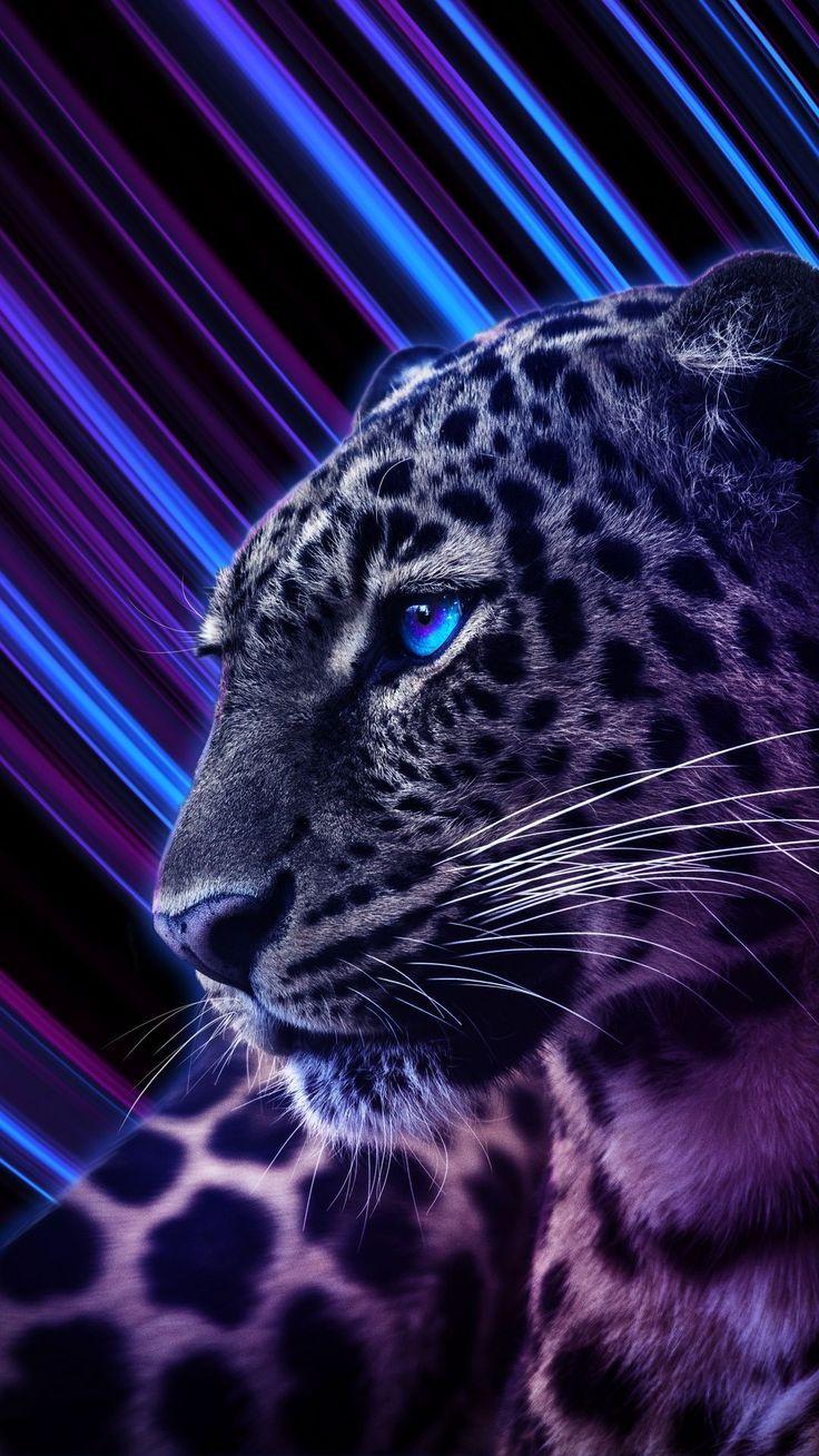 736x1308 Muchatseble. Joker HD Wallpaper, Hipster Wallpaper. Wild animal wallpaper, Jaguar animal, Snow leopard drawing