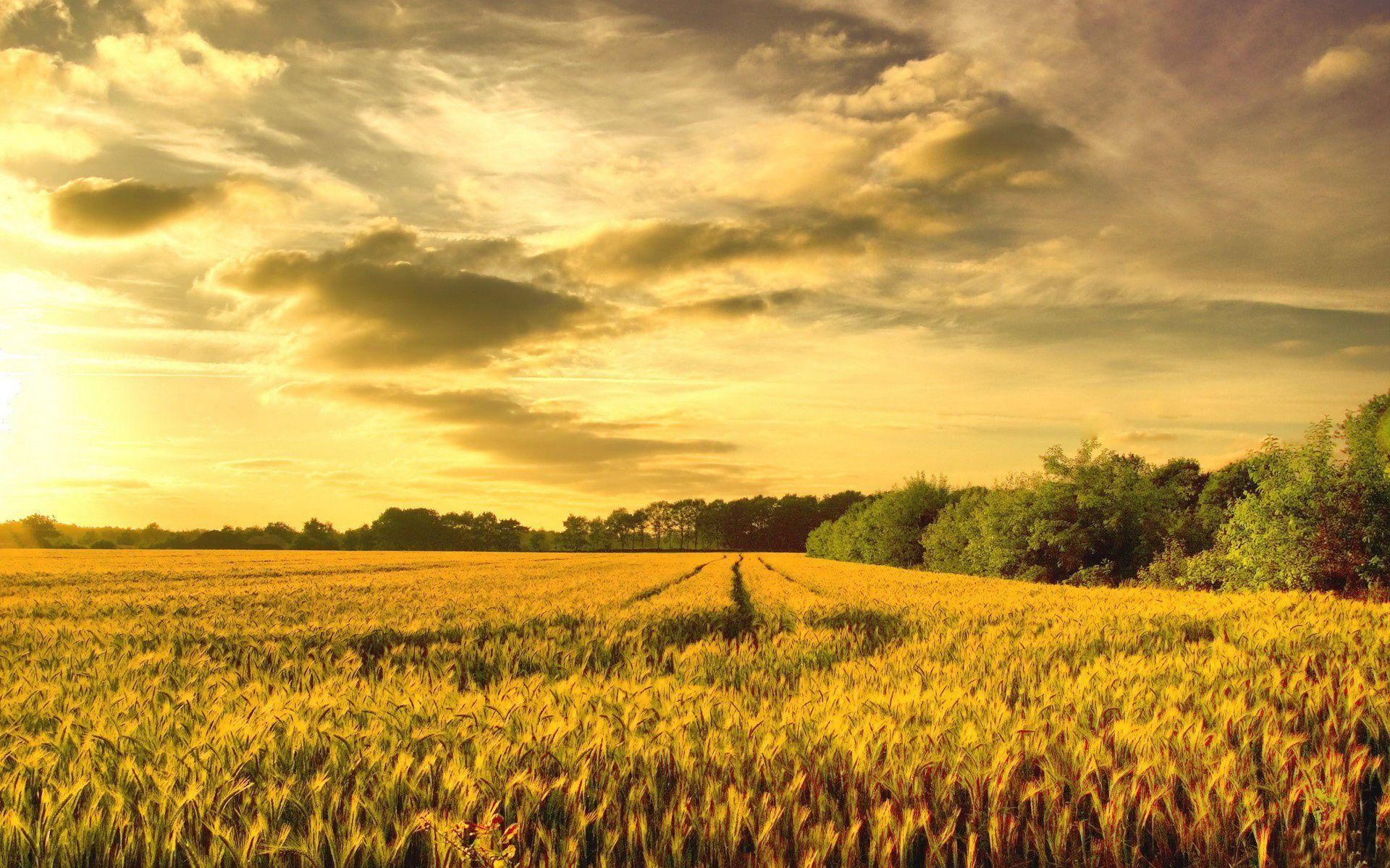 1920x1200 Late summer. Summer nature photography, Nature photography, HD nature wallpaper
