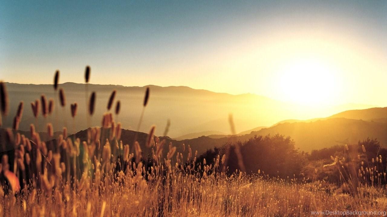 1280x720 Late Summer Field HD Desktop Wallpaper : High Definition. Desktop Background