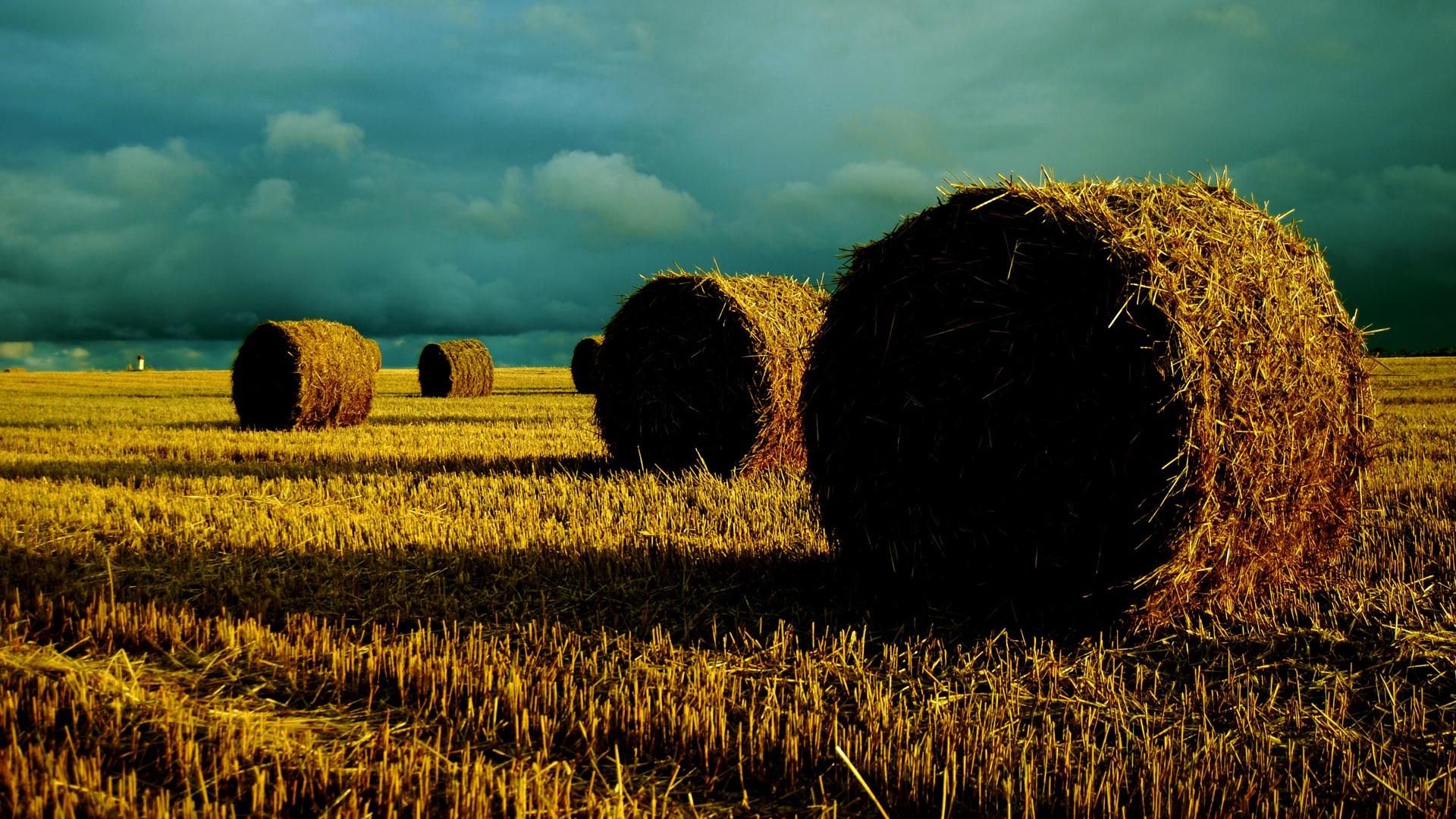 1920x1080 Free download for late summer landscape desktop background late summer Car Picture [1920x1200] for your Desktop, Mobile & Tablet. Explore Late Summer Wallpaper for Desktop. Free Wallpaper Background, Free