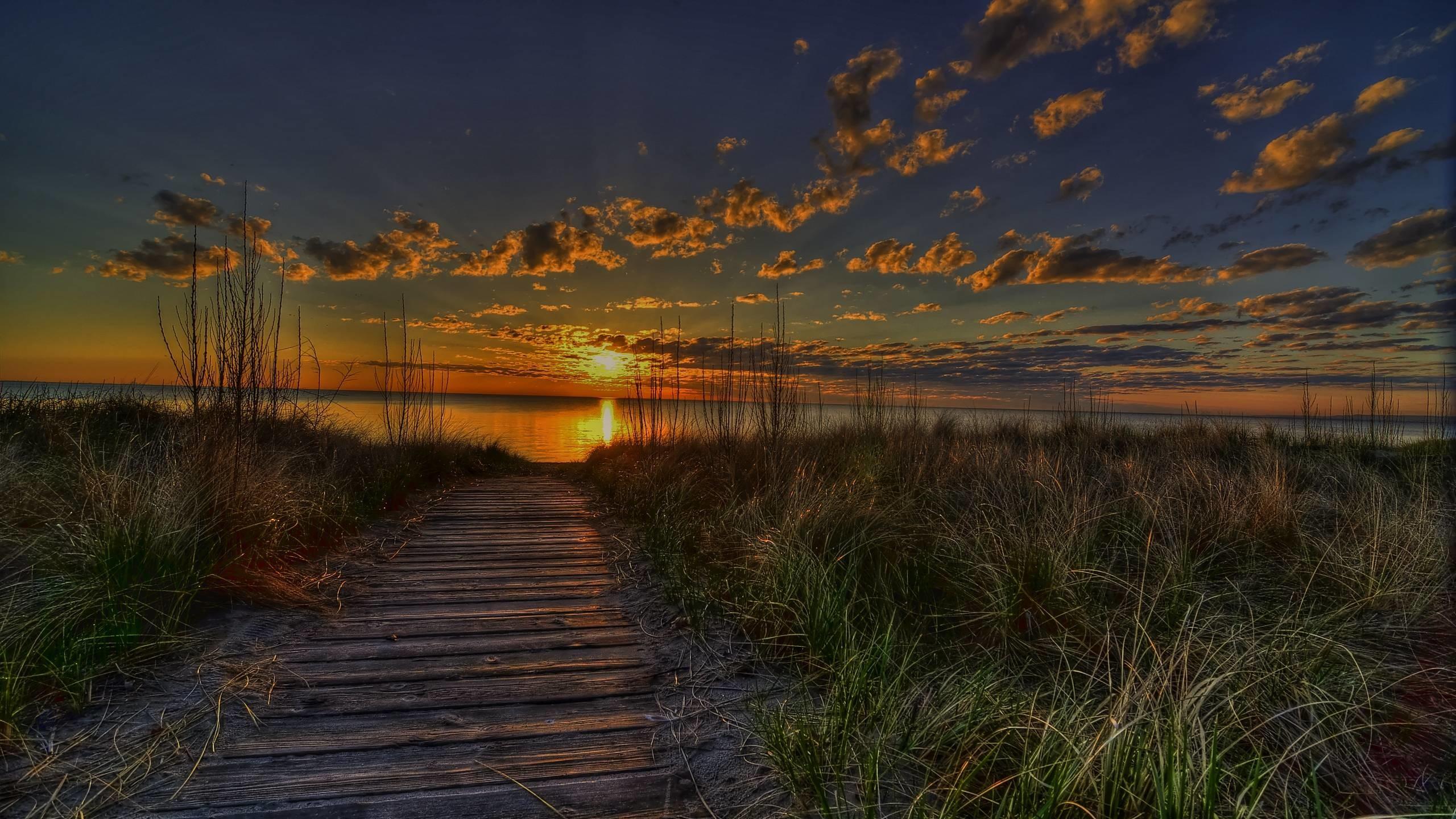 2560x1440 Summer Sunset