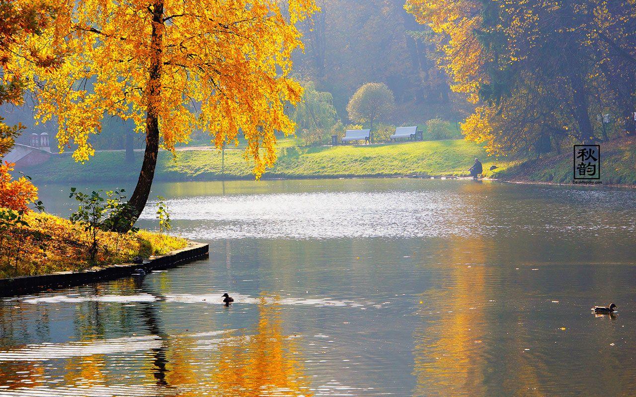 1280x800 Beautiful Fall Wallpaper, HD Beautiful Fall Background on WallpaperBat