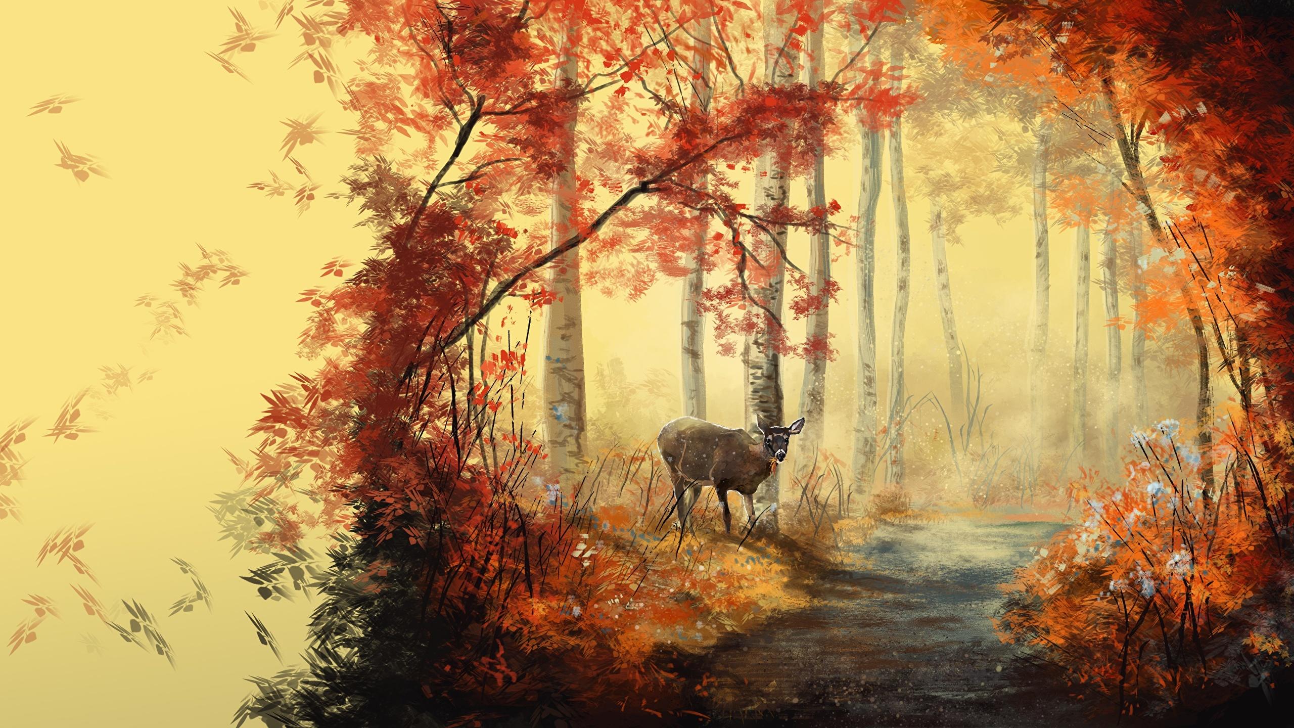 2560x1440 Photo Deer Leaf path Autumn Nature animal Painting Art 2560x1440
