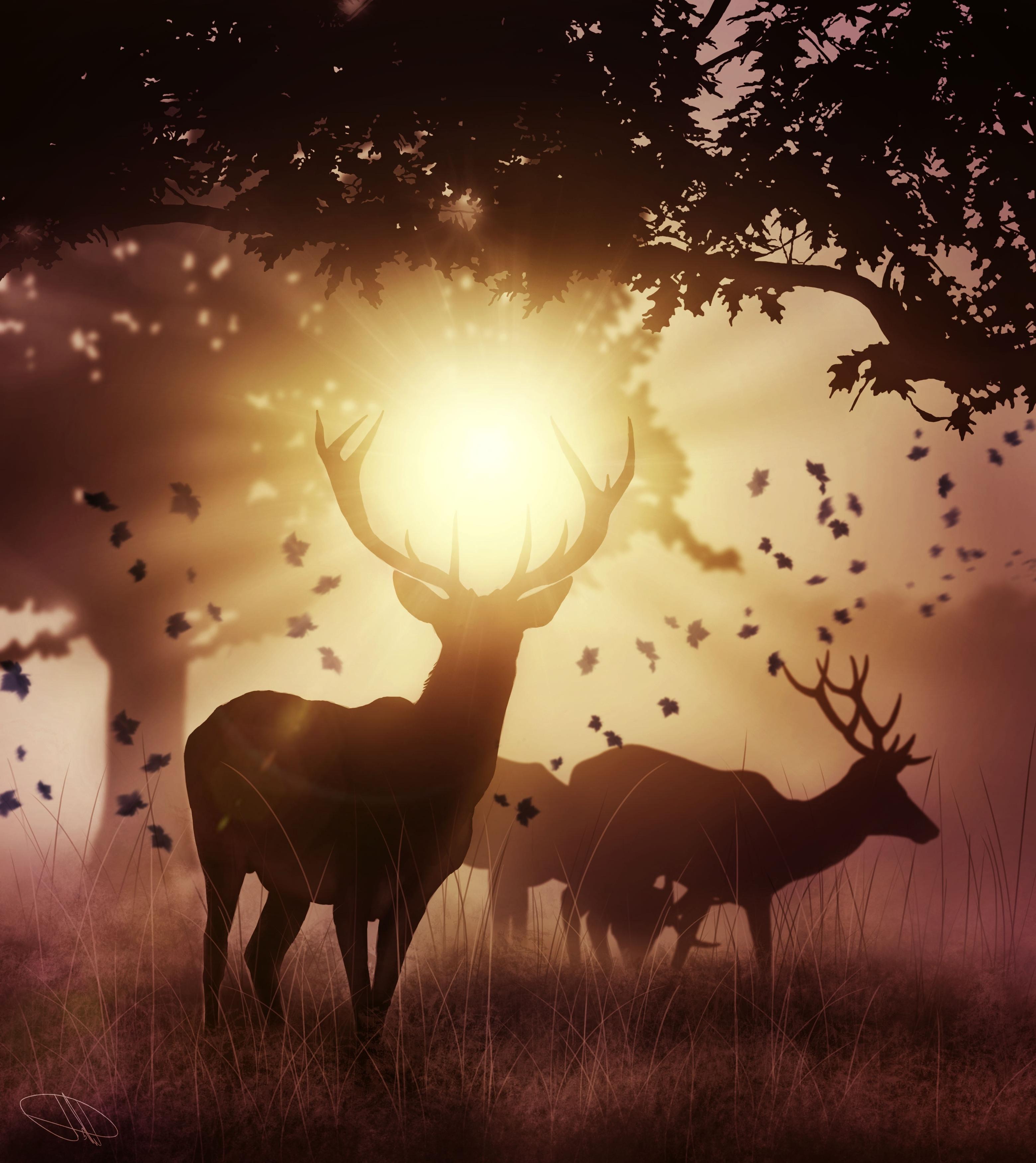 3118x3500 Wallpaper Trees, Deer Horns, Autumn, Sunlight:3118x3500